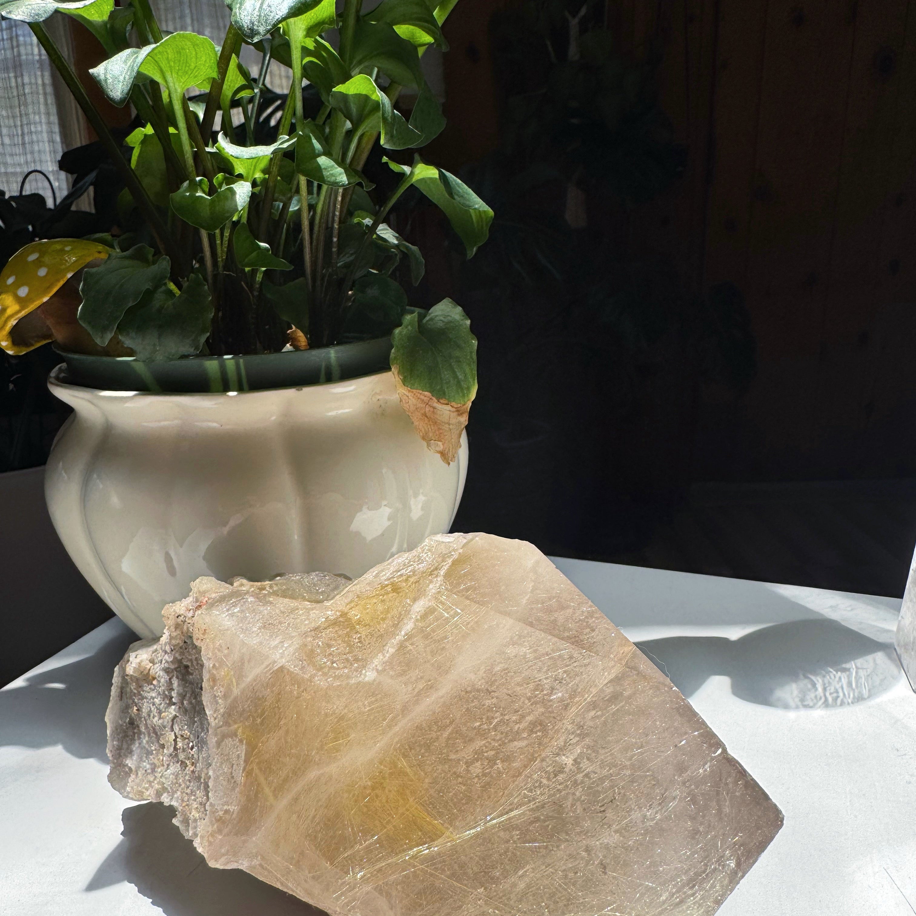 Large Rutilated Quartz Point from Brazil w/ Recordkeepers Baltic Mermaid