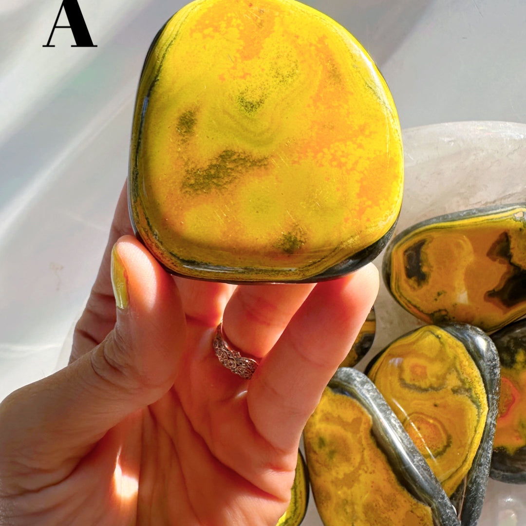 Bumblebee Jasper Palm Stones - Baltic Mermaid