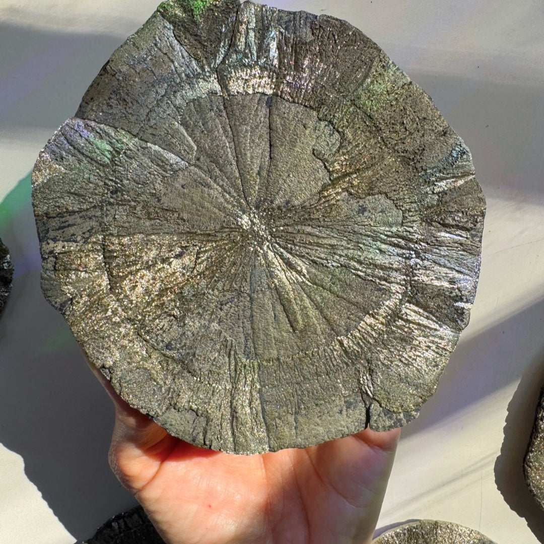 Pyrite Sun - Baltic Mermaid