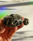 Pyrite Pumpkin - Baltic Mermaid
