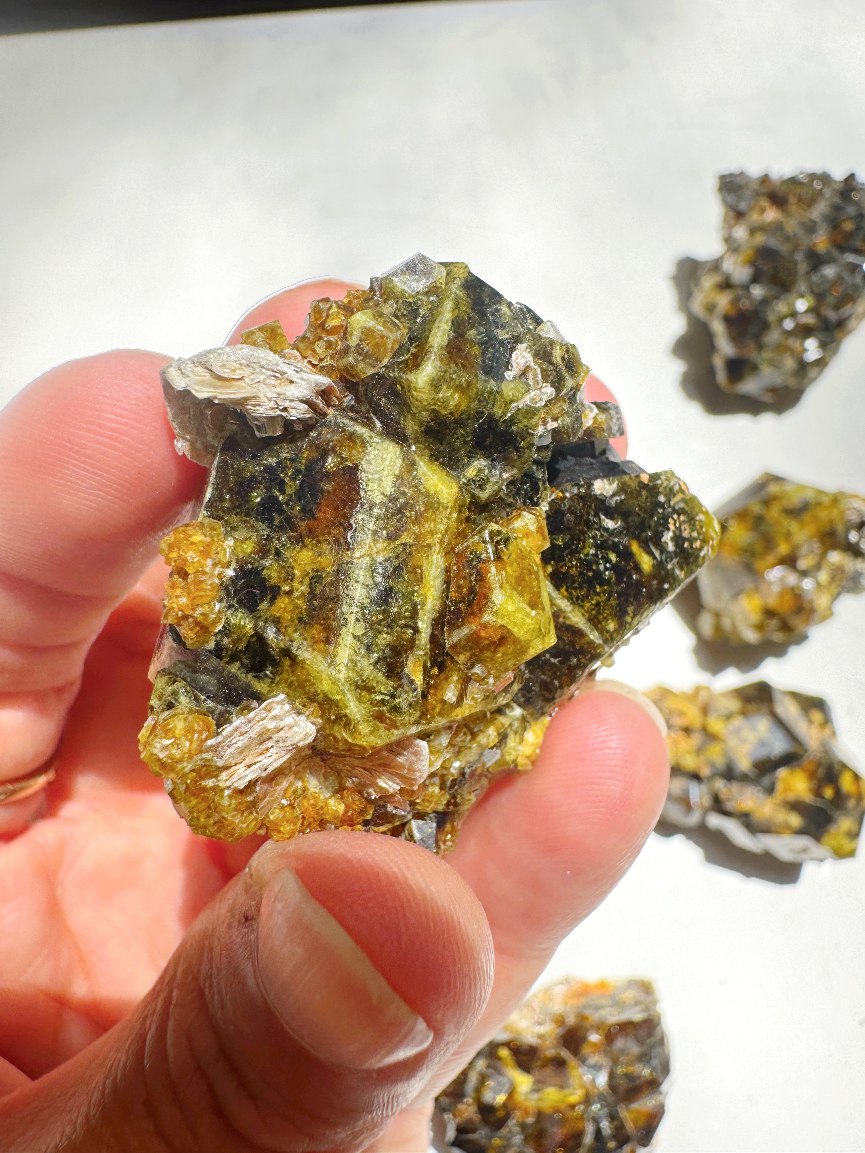 Rare Mali Green Grossular Andradite Garnet w/ Clinochlore AAA Quality Baltic Mermaid