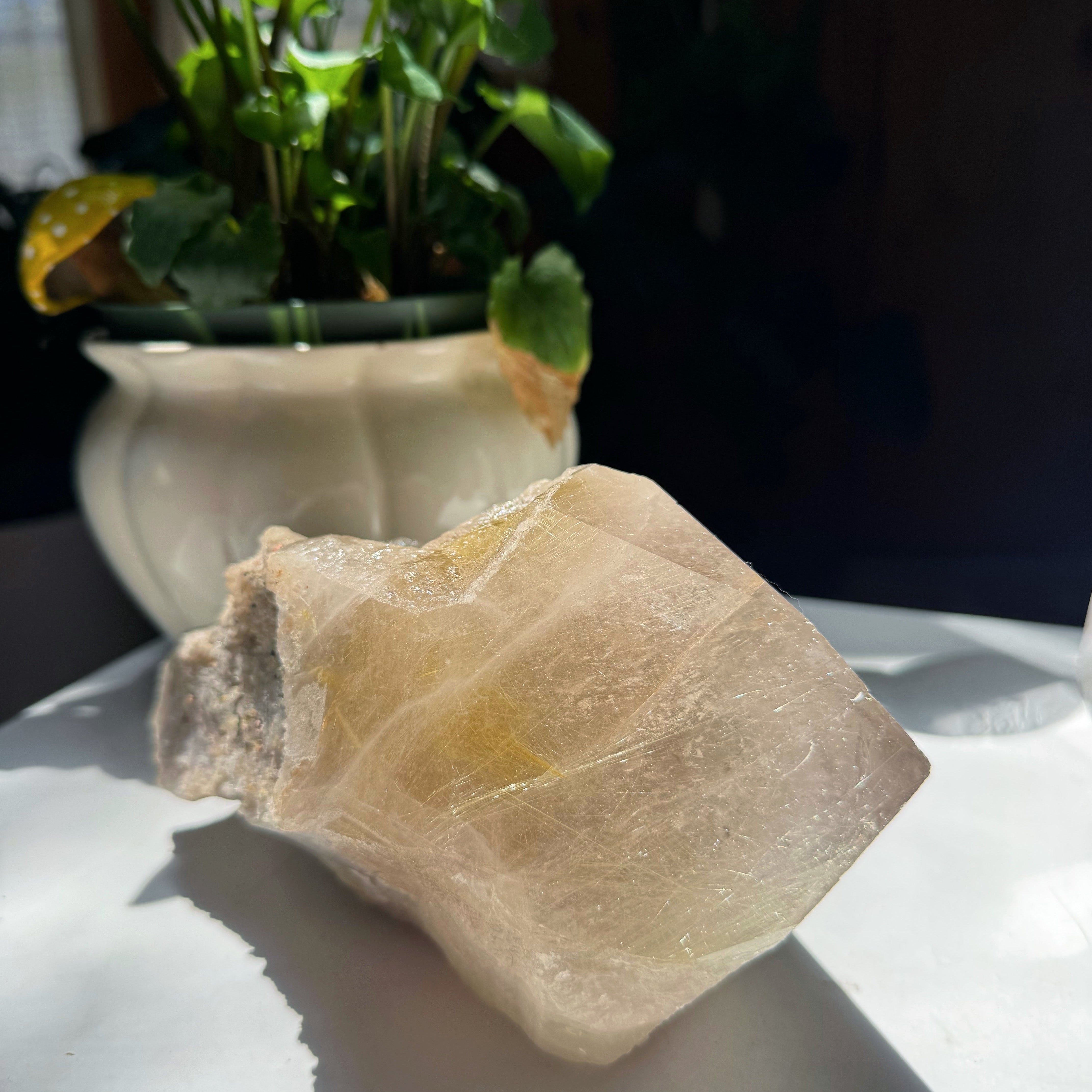 Large Rutilated Quartz Point from Brazil w/ Recordkeepers Baltic Mermaid