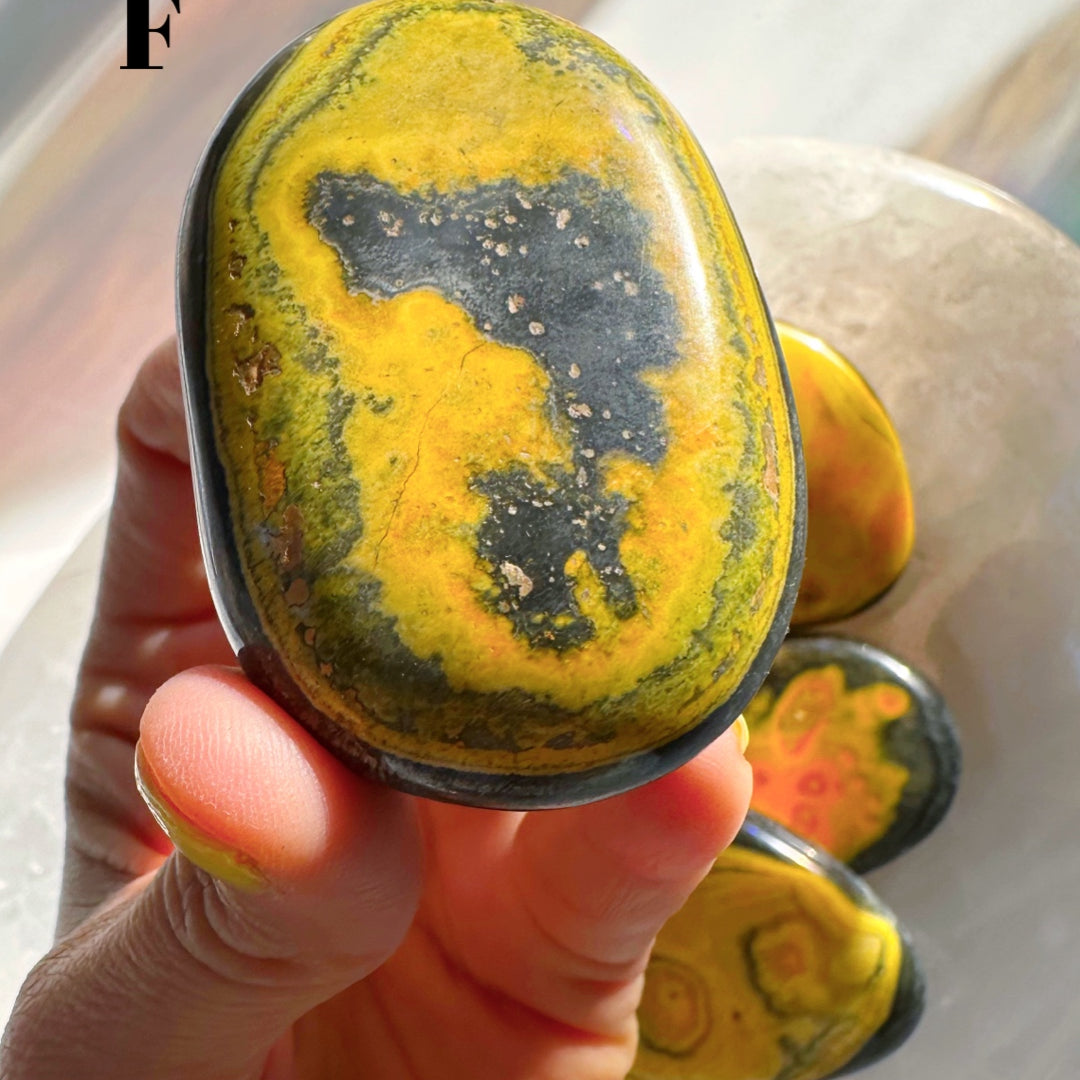 Bumblebee Jasper Palm Stones - Baltic Mermaid