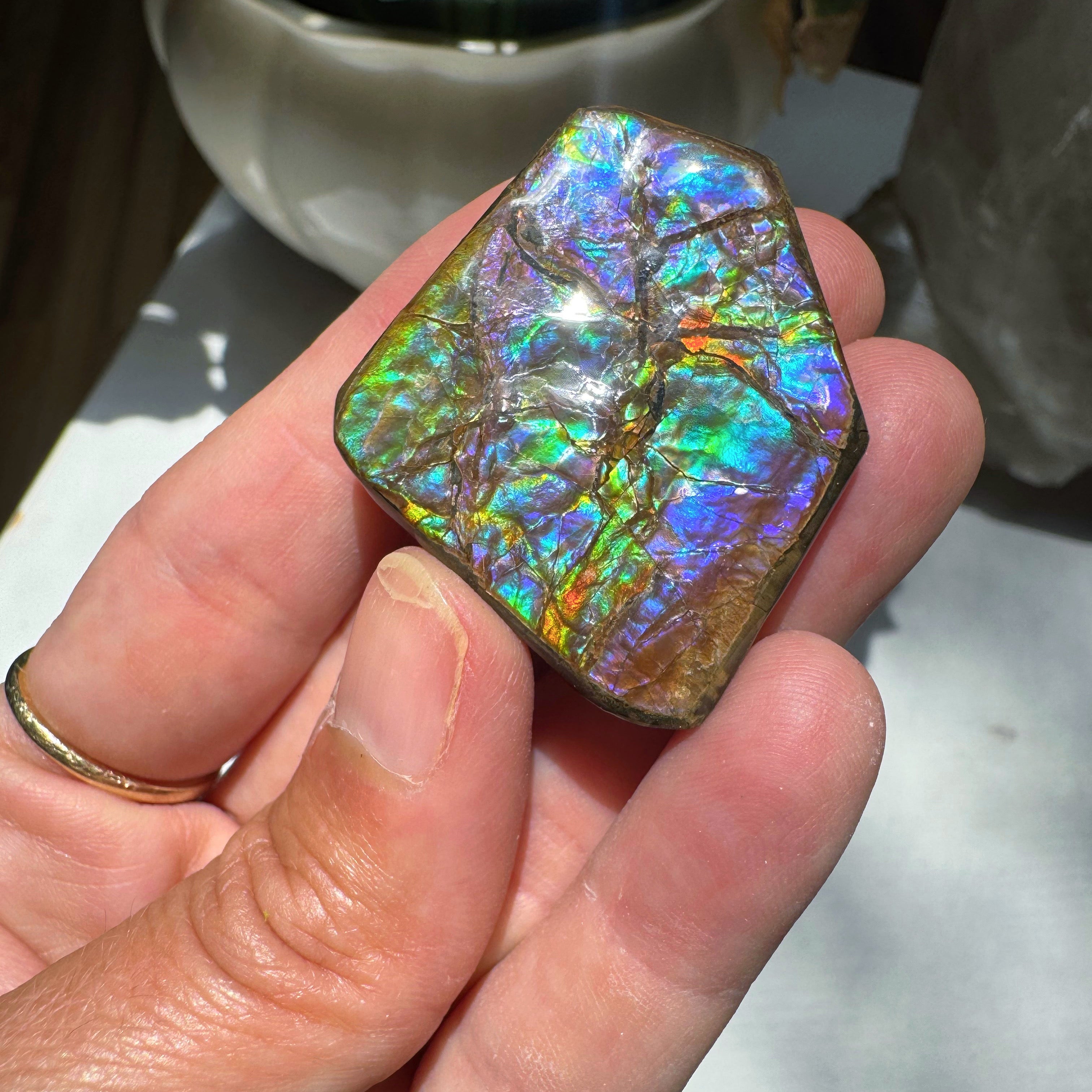 Ammolite Gemstone Hand Specimen Baltic Mermaid