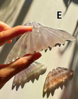 Fluorite Bats - Baltic Mermaid