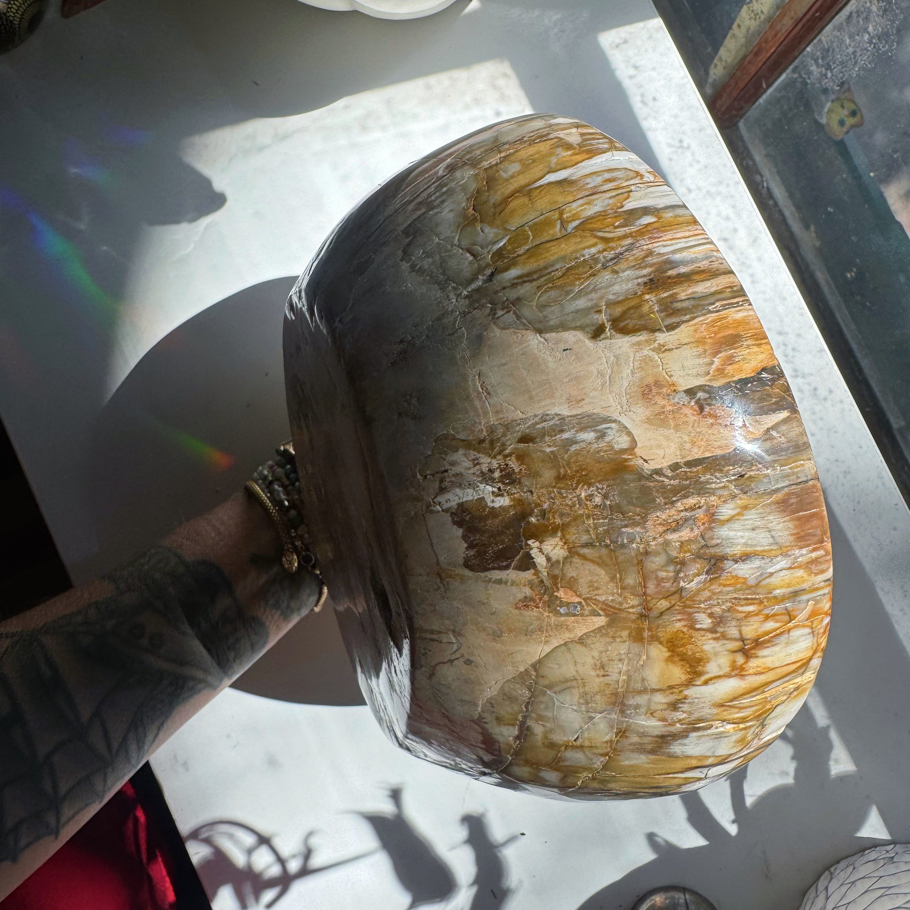 Large Petrified Wood Bowl Baltic Mermaid