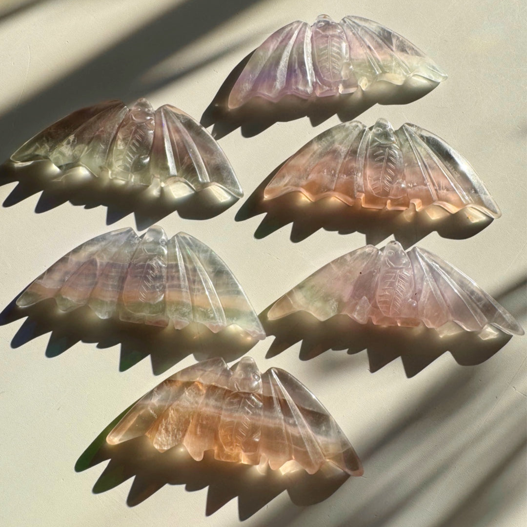 Fluorite Bats - Baltic Mermaid