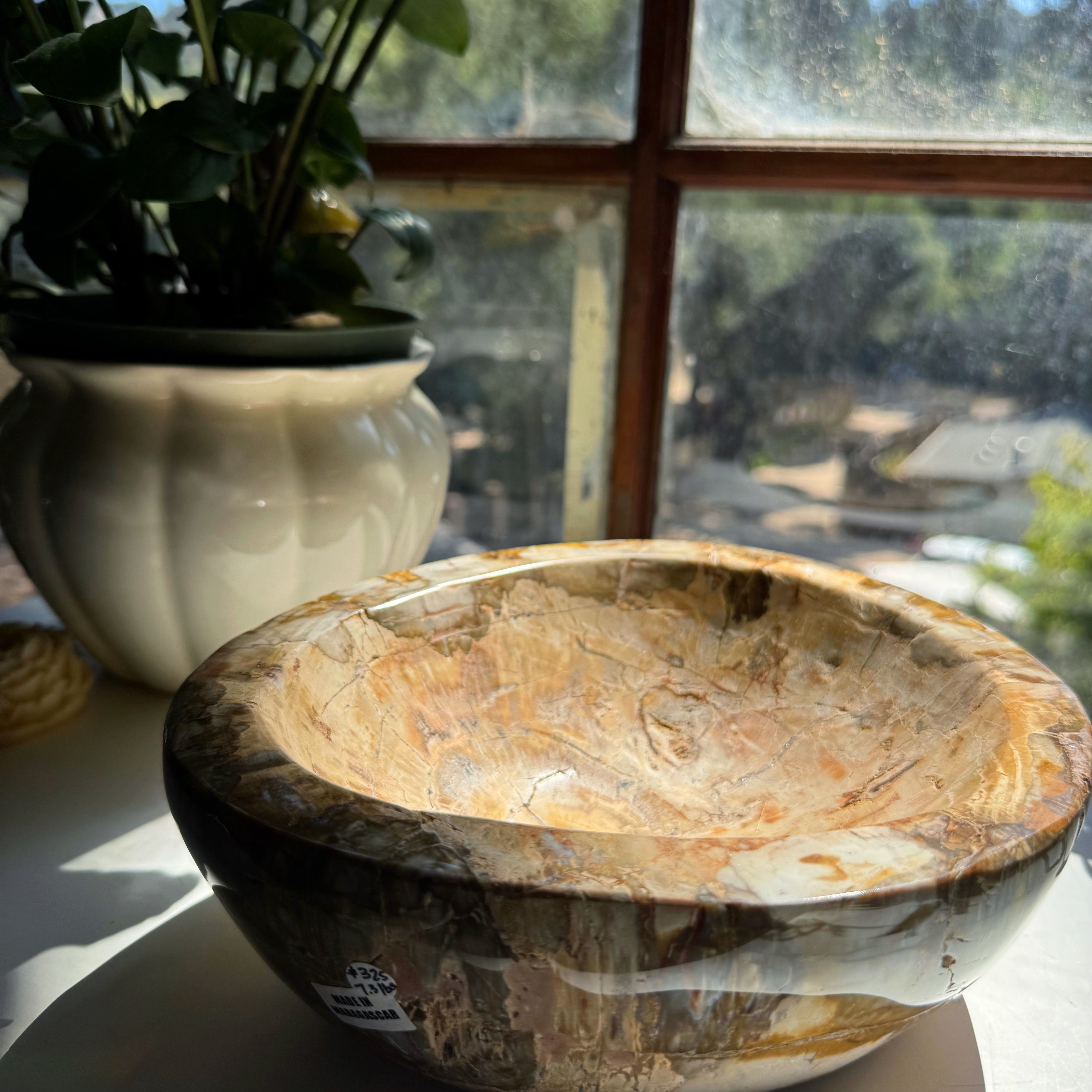 Large Petrified Wood Bowl Baltic Mermaid