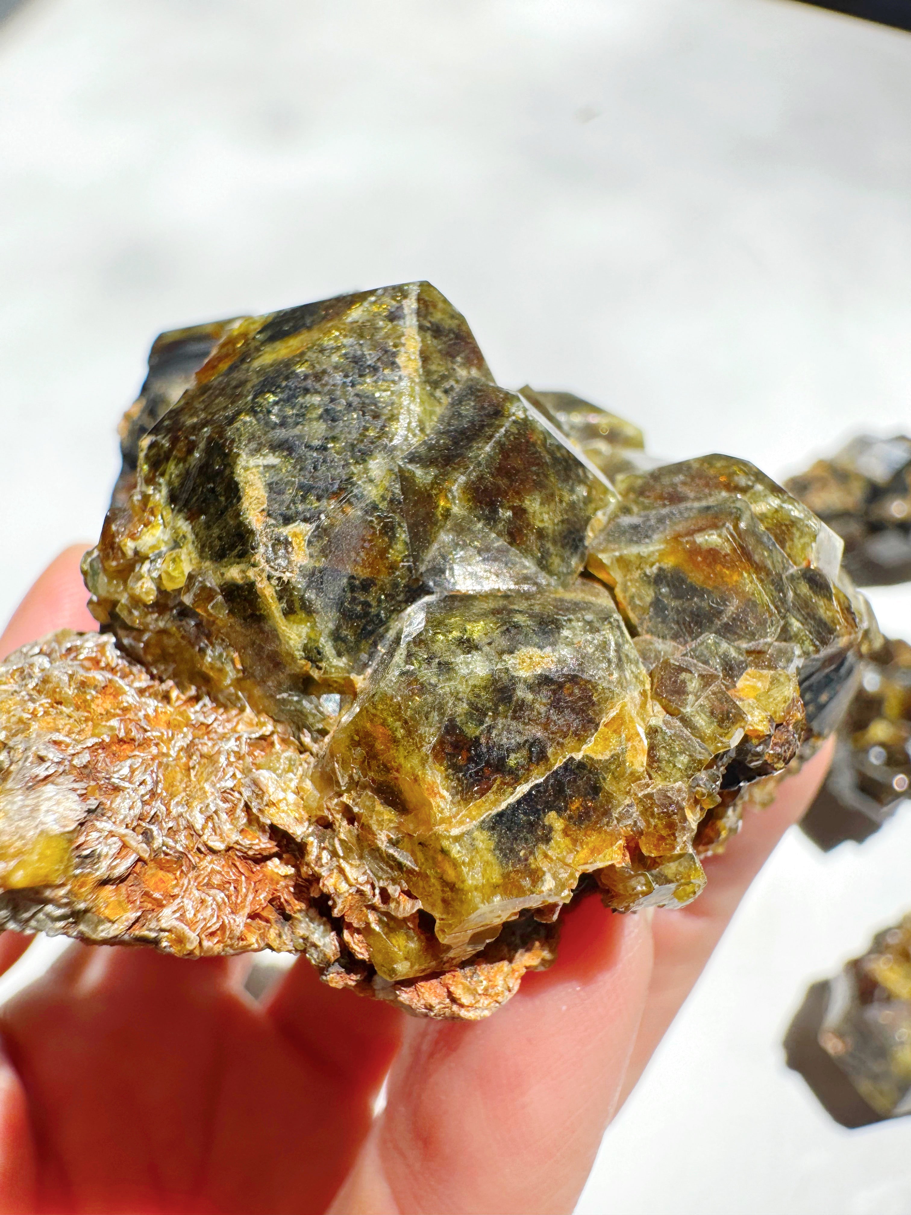Rare Mali Green Grossular Andradite Garnet w/ Clinochlore AAA Quality Baltic Mermaid