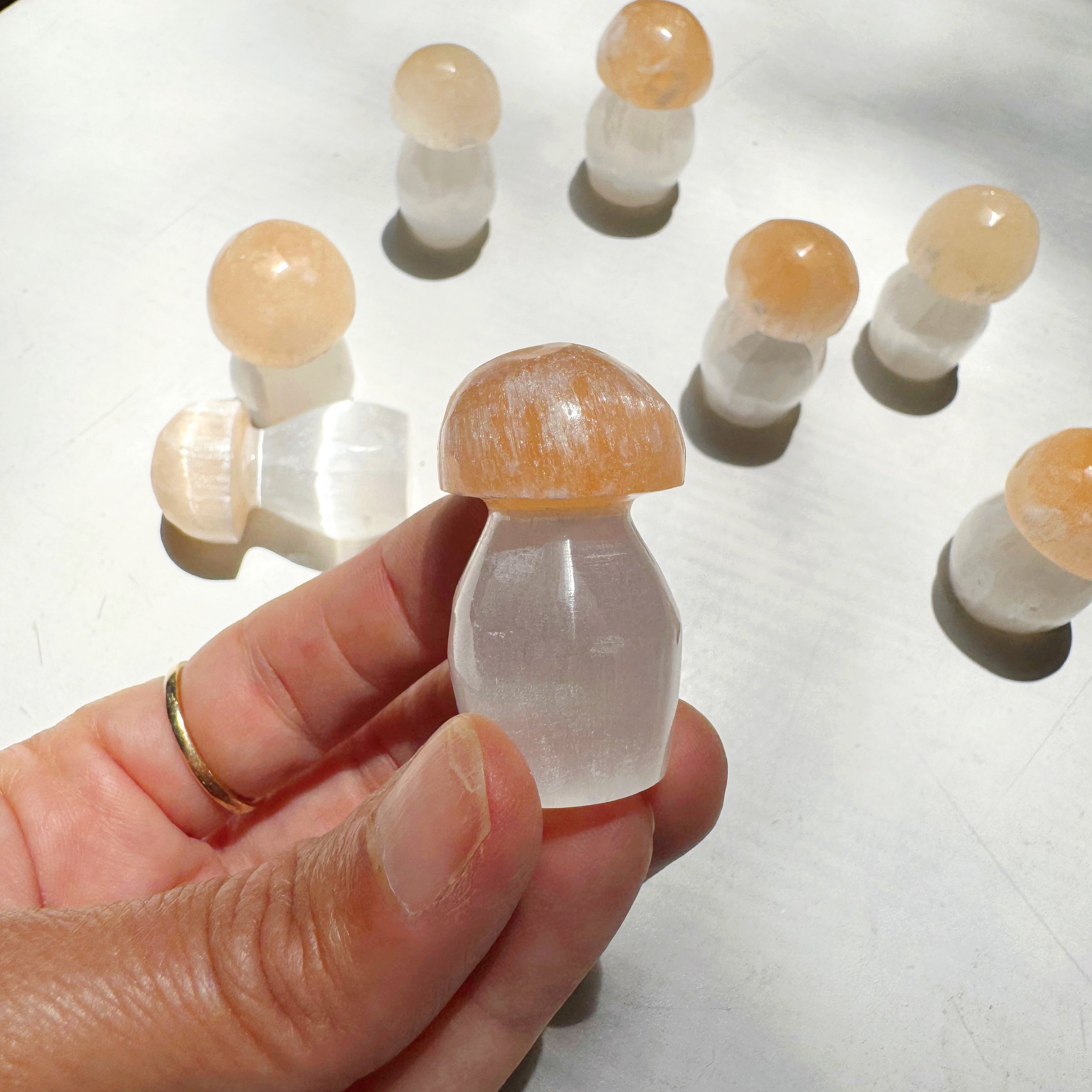 Lil’ Selenite Mushrooms Baltic Mermaid