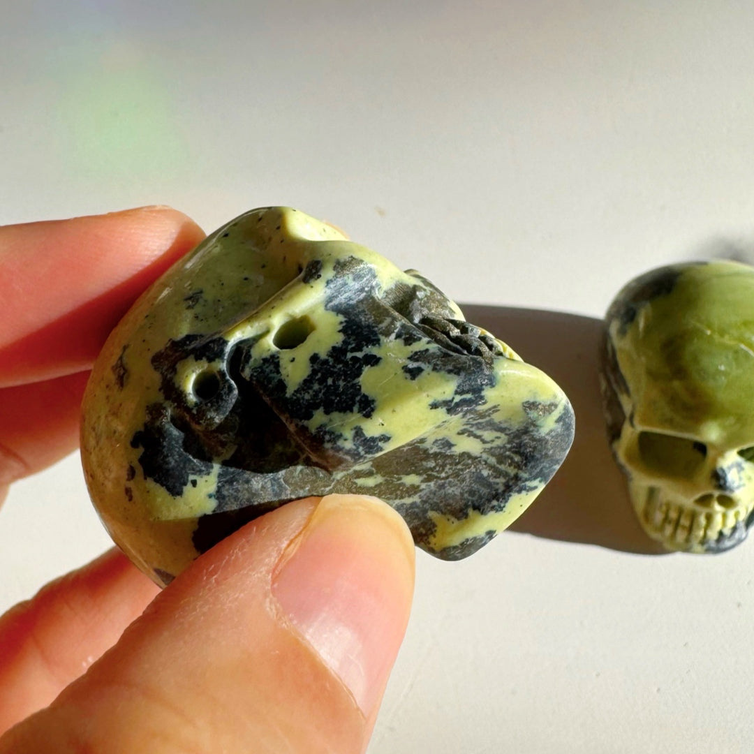 Serpentine Skull - Baltic Mermaid