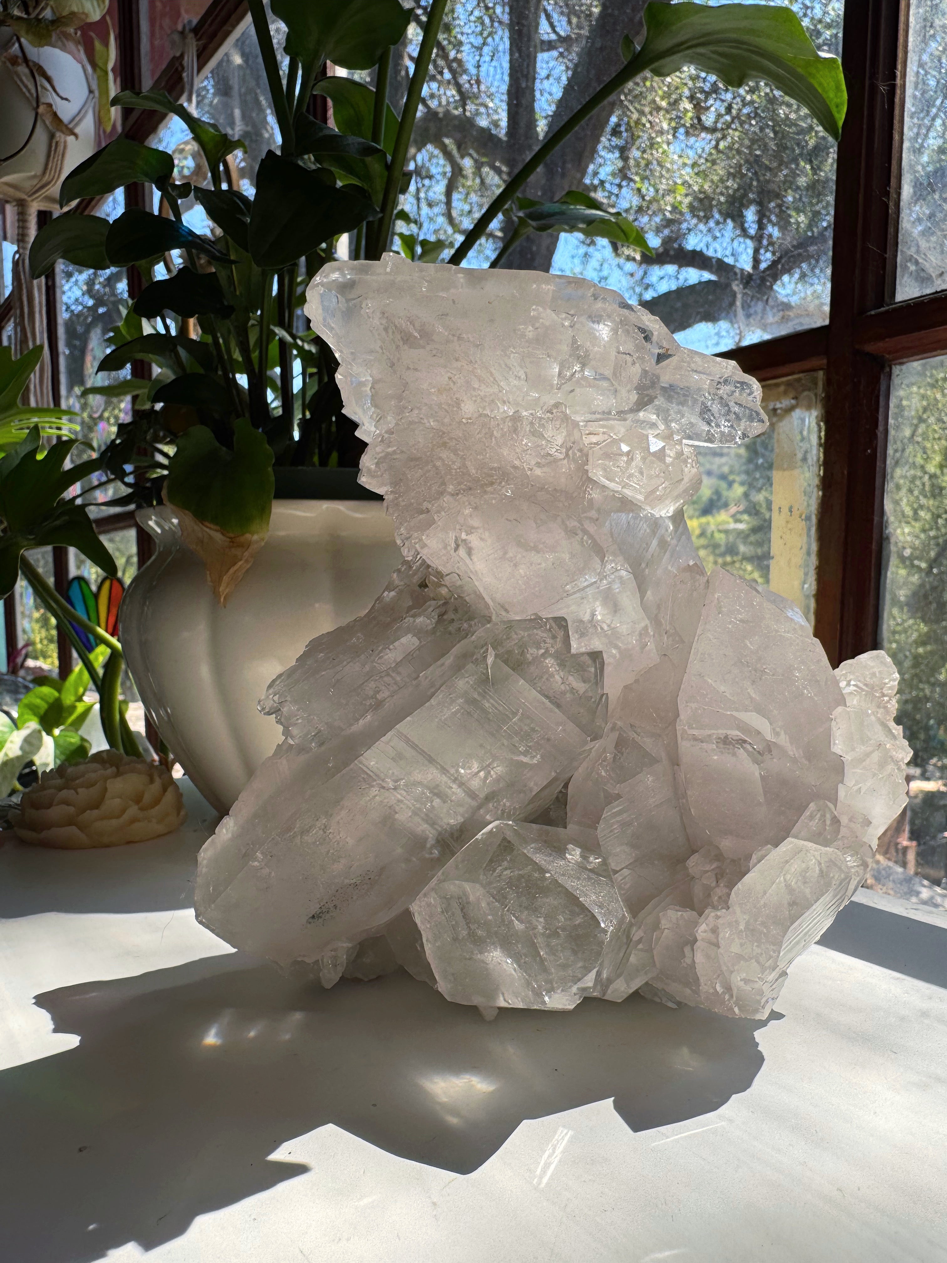 Large Rutilated Lemurian Quartz Cluster from Brazil Baltic Mermaid