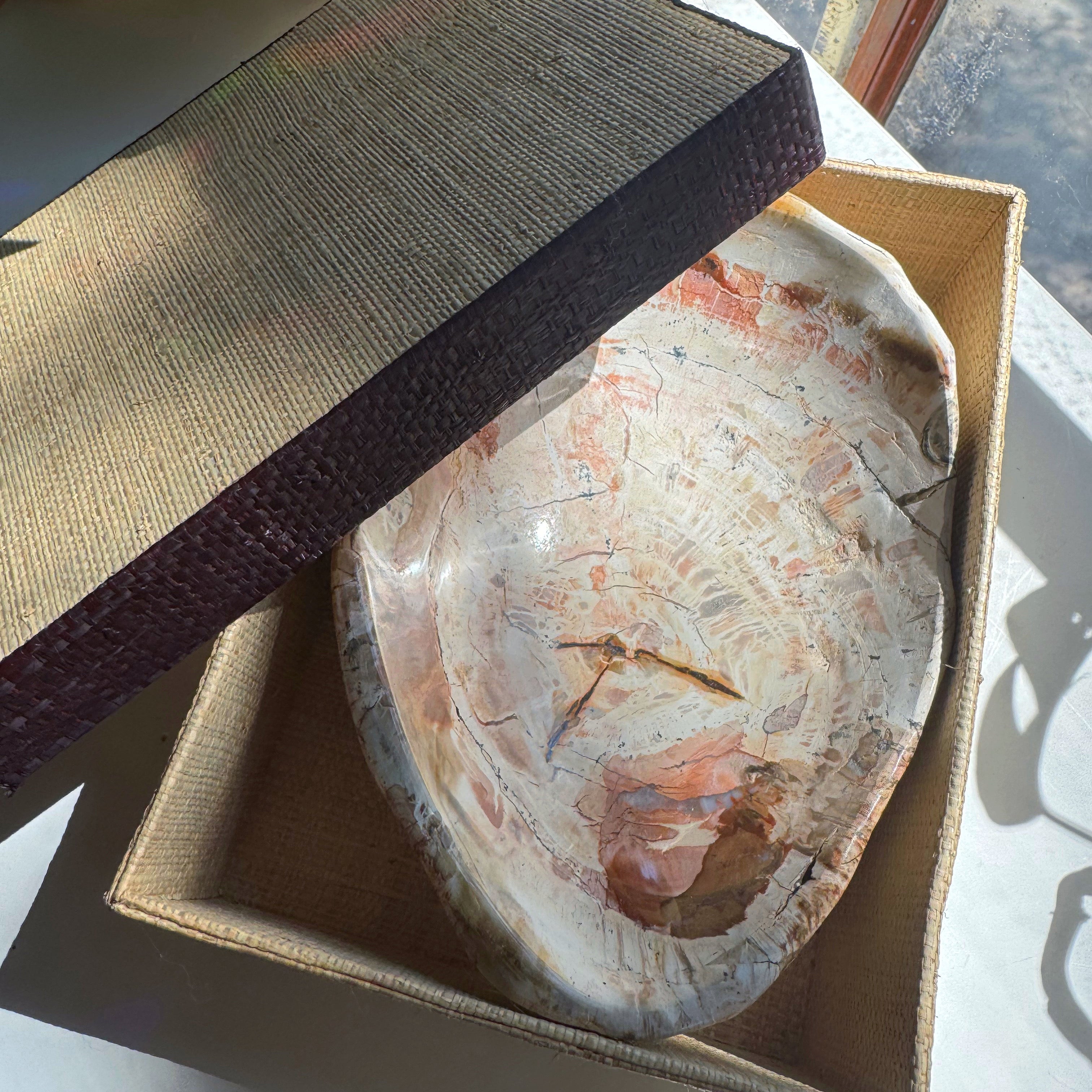 Petrified Wood Bowl Baltic Mermaid