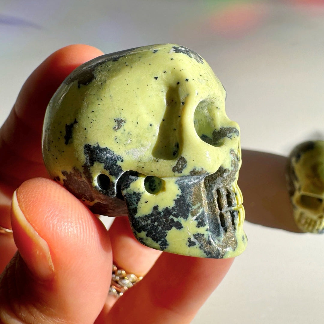 Serpentine Skull - Baltic Mermaid