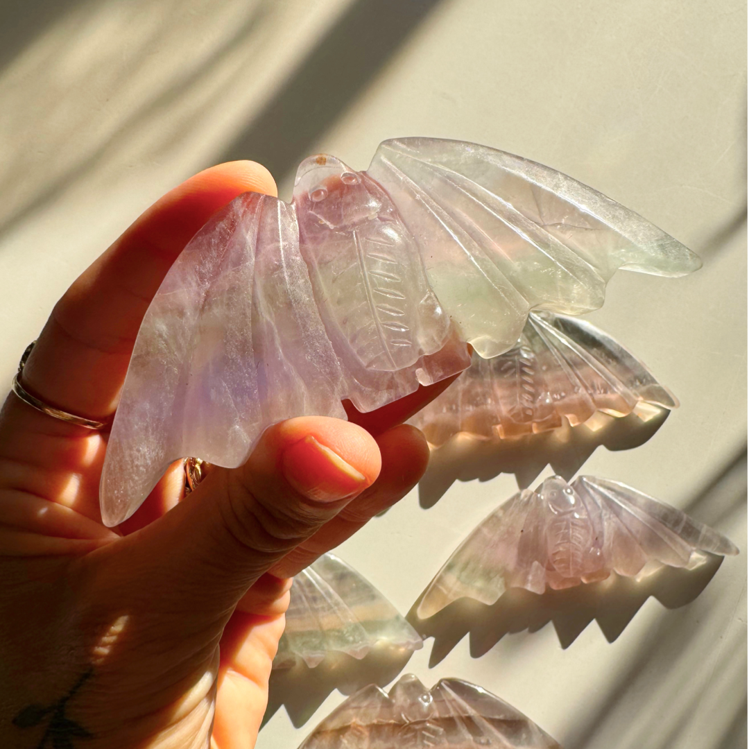 Fluorite Bats - Baltic Mermaid