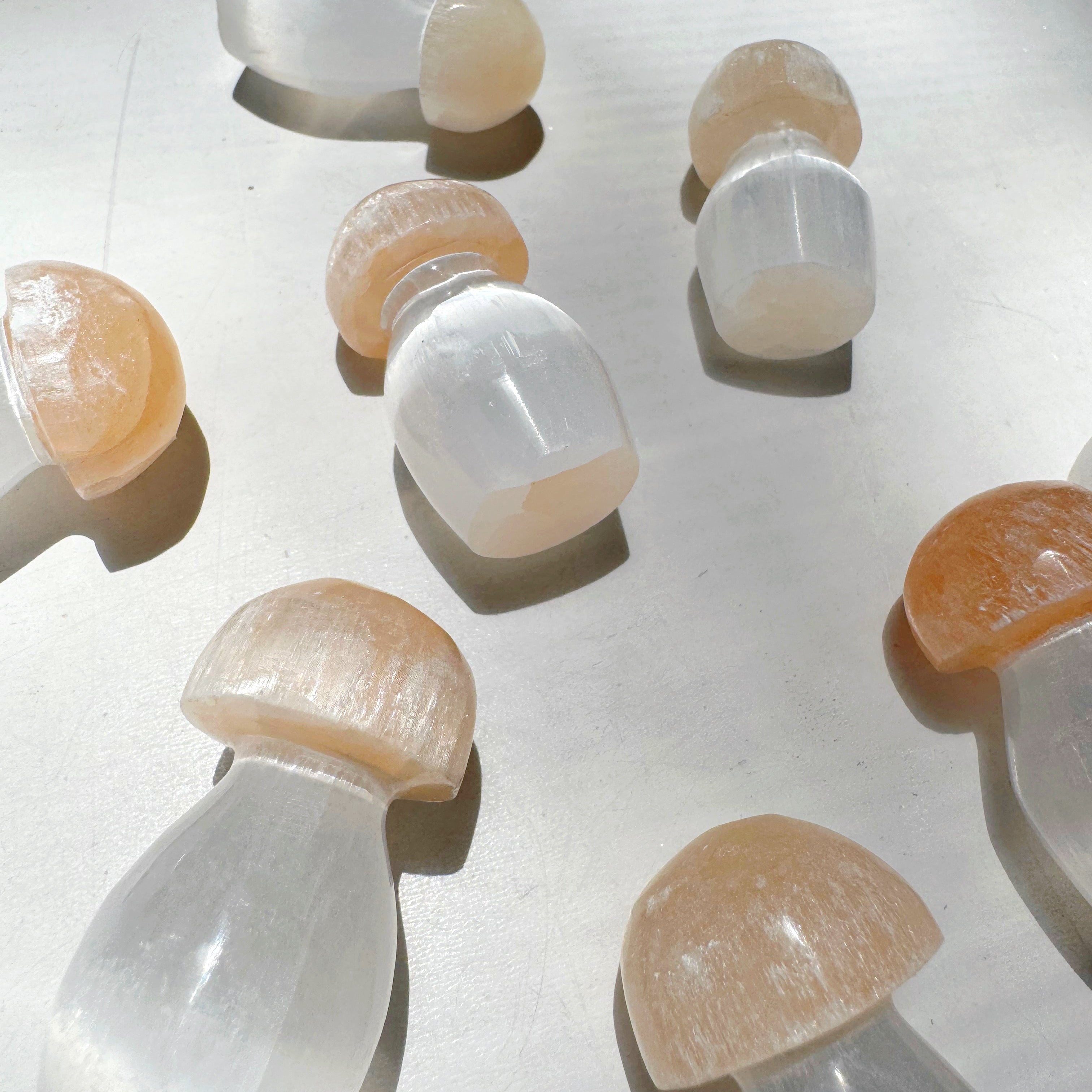 Lil’ Selenite Mushrooms Baltic Mermaid