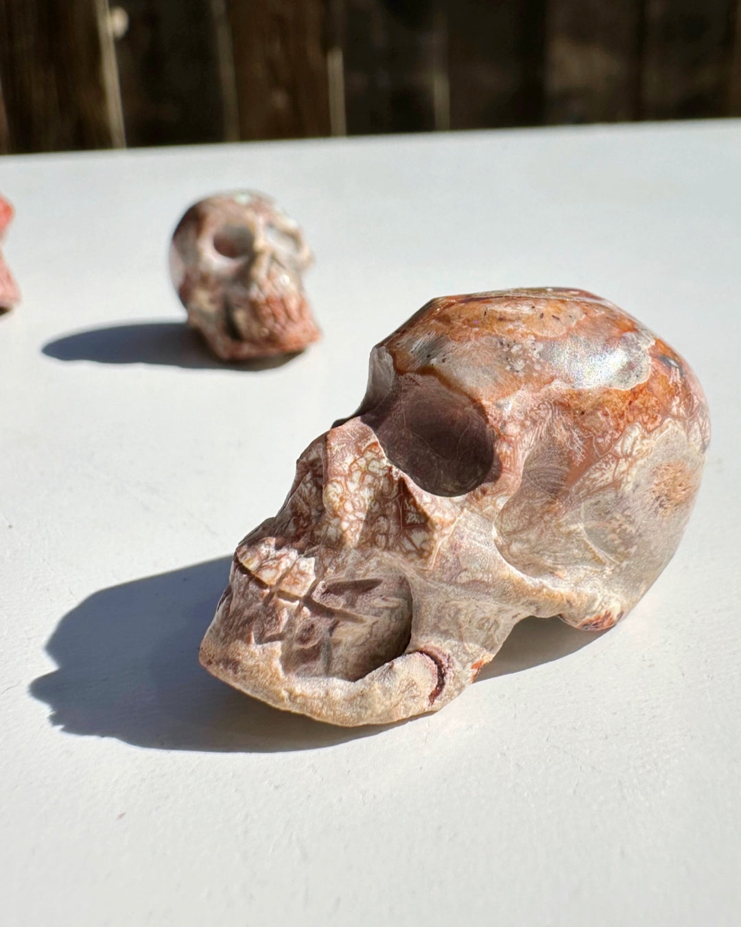 Cantera Opal Skull - Baltic Mermaid