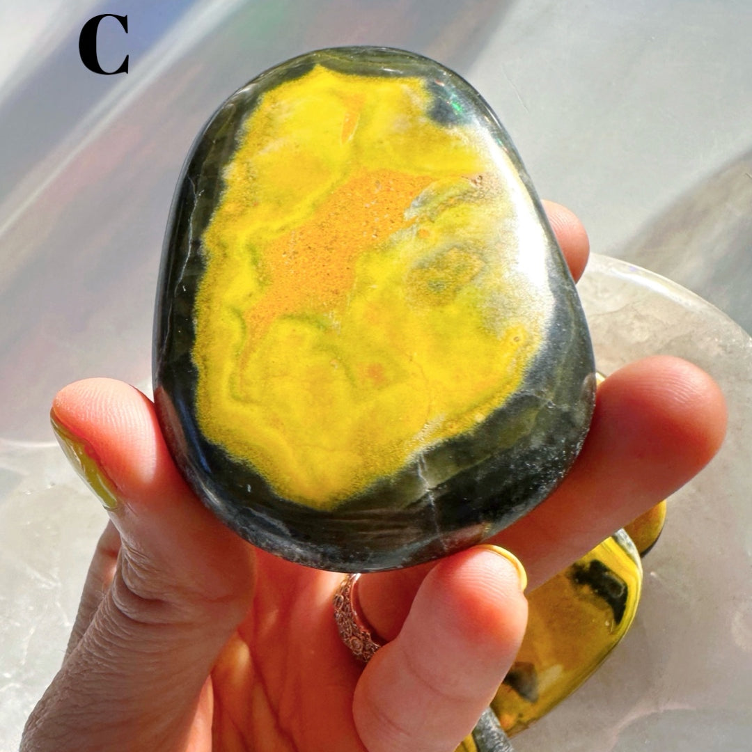 Bumblebee Jasper Palm Stones - Baltic Mermaid