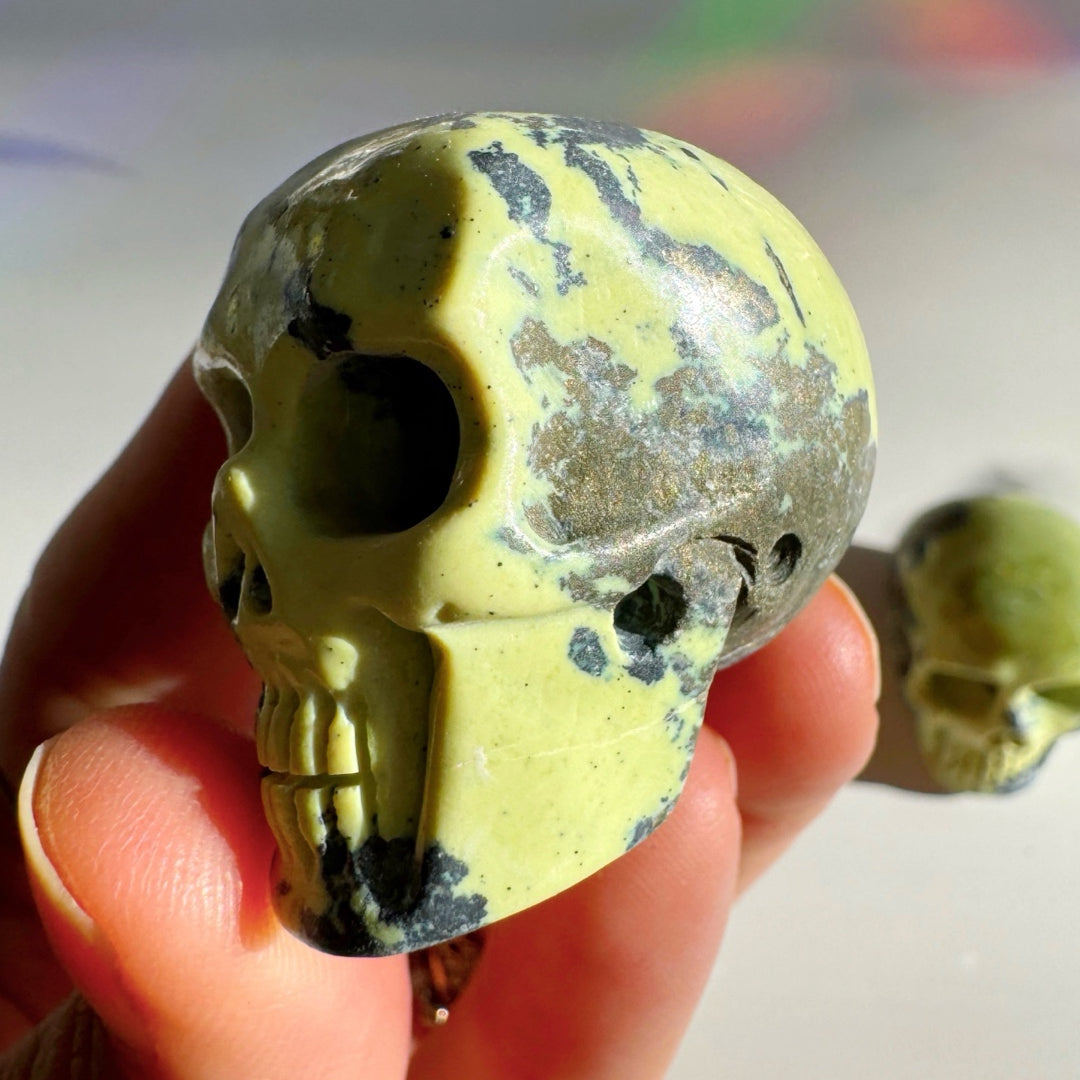 Serpentine Skull - Baltic Mermaid