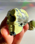Serpentine Skull - Baltic Mermaid