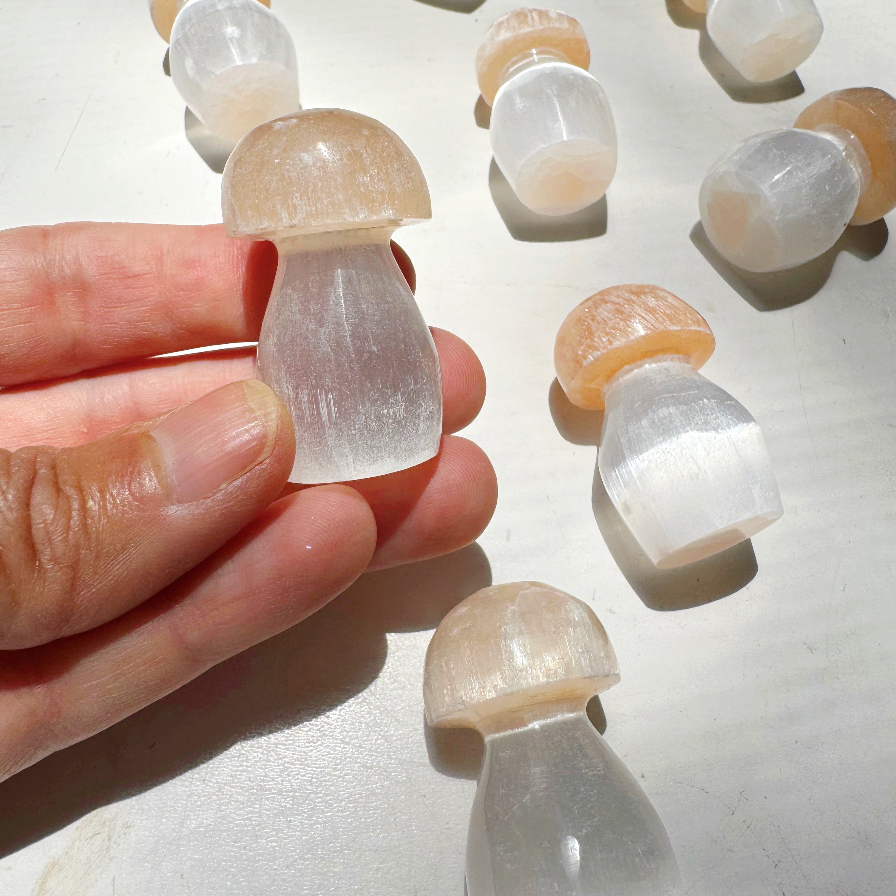 Lil’ Selenite Mushrooms Baltic Mermaid