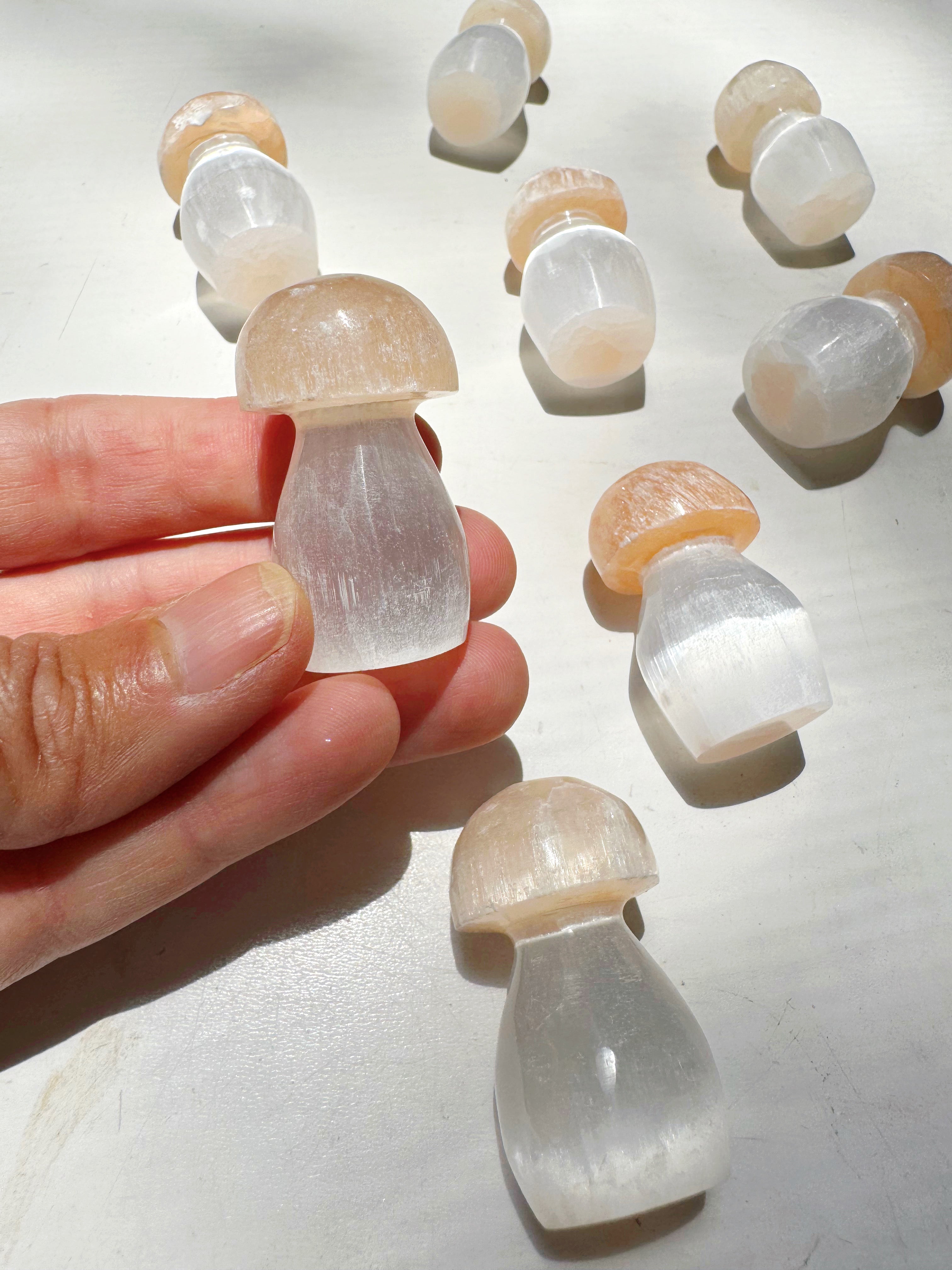 Lil’ Selenite Mushrooms Baltic Mermaid