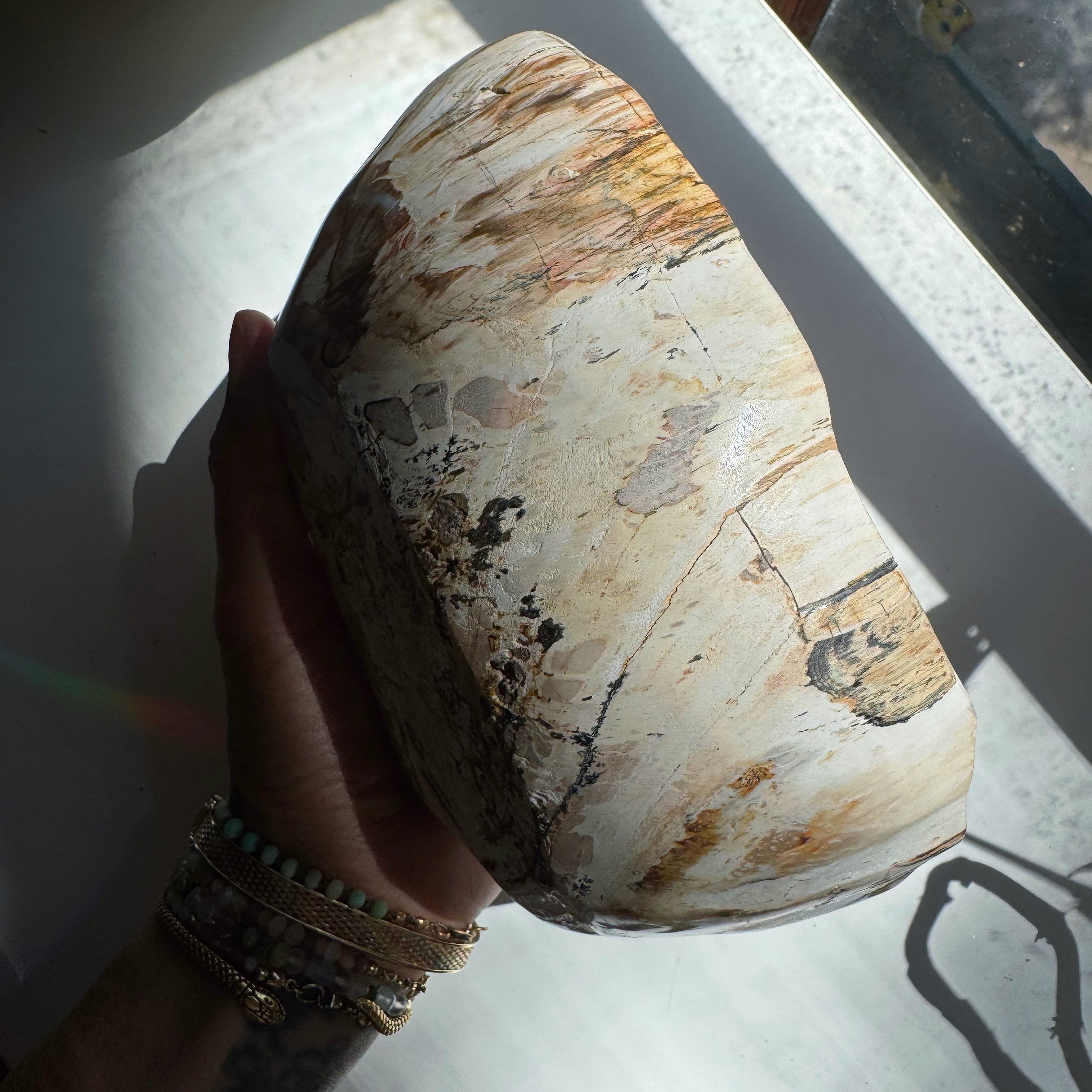 Petrified Wood Bowl Baltic Mermaid