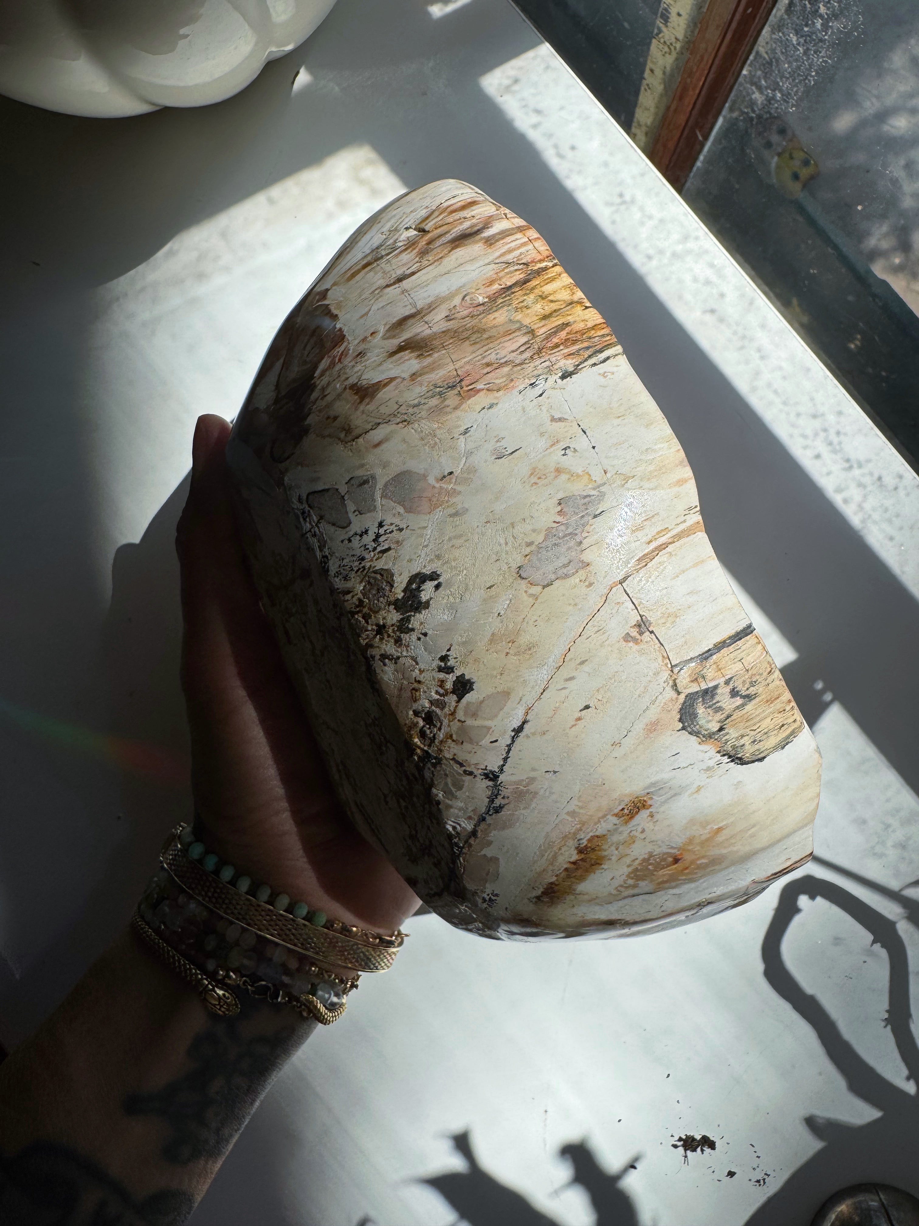 Petrified Wood Bowl Baltic Mermaid