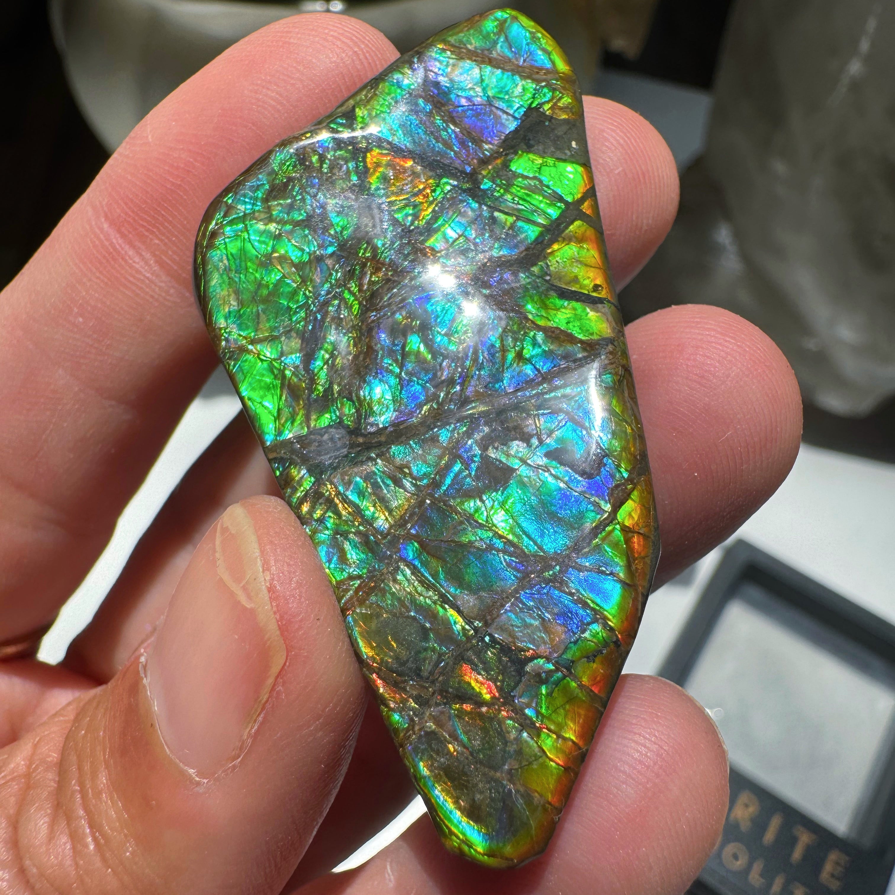 Ammolite Gemstone Hand Specimen Baltic Mermaid