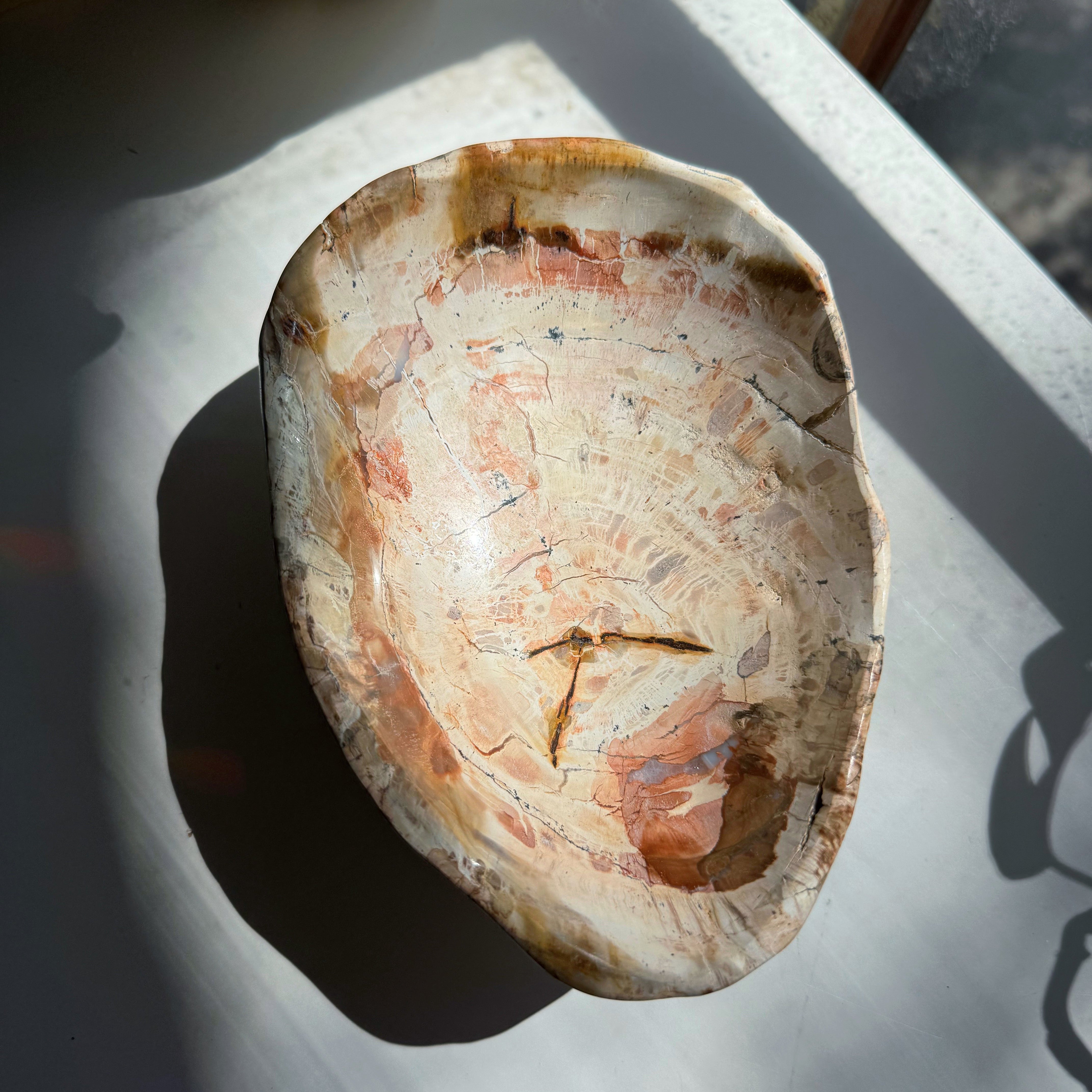 Petrified Wood Bowl Baltic Mermaid