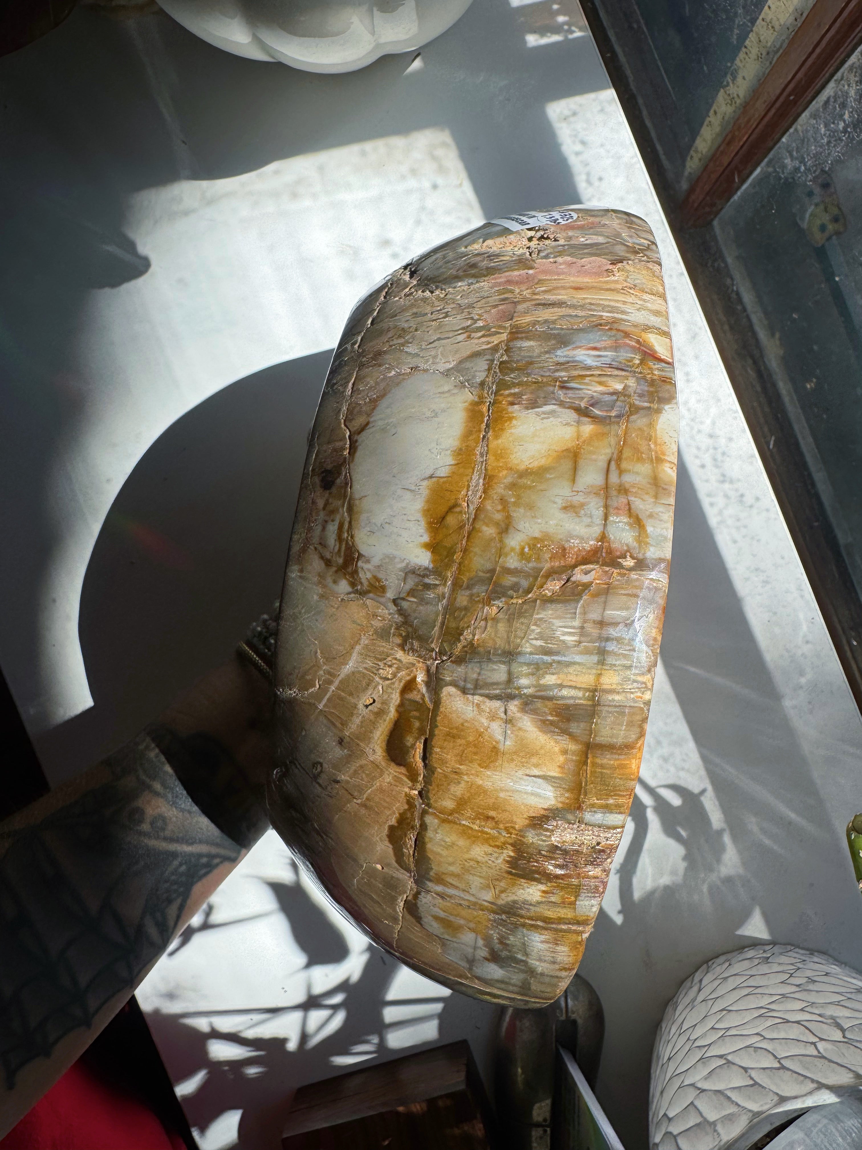 Large Petrified Wood Bowl Baltic Mermaid