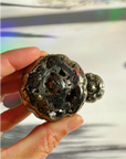 Pyrite Pumpkin - Baltic Mermaid