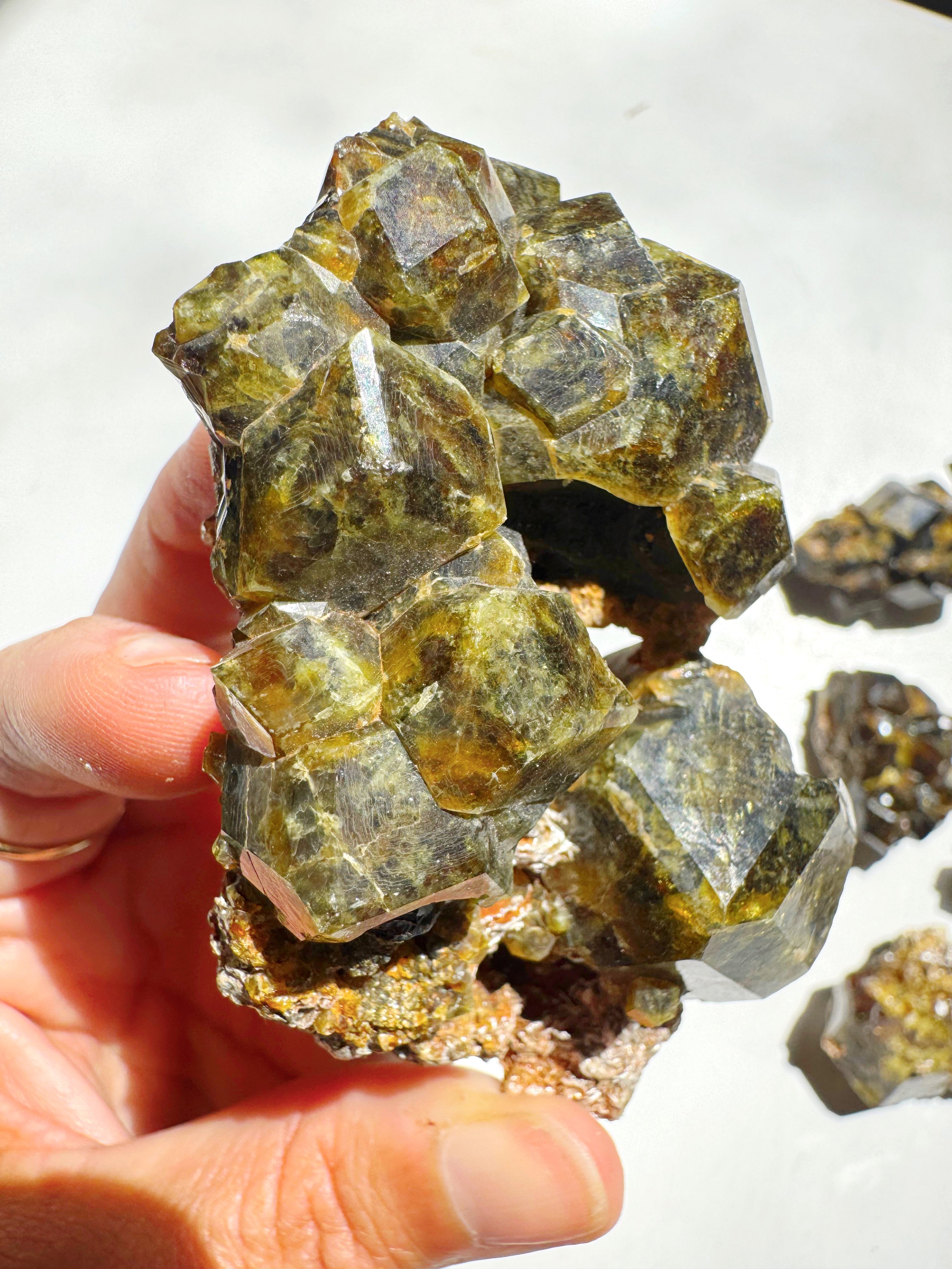 Rare Mali Green Grossular Andradite Garnet w/ Clinochlore AAA Quality Baltic Mermaid