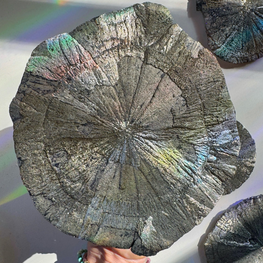 Pyrite Sun - Baltic Mermaid