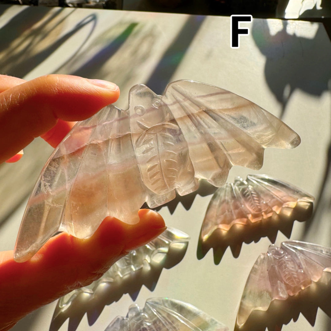 Fluorite Bats - Baltic Mermaid