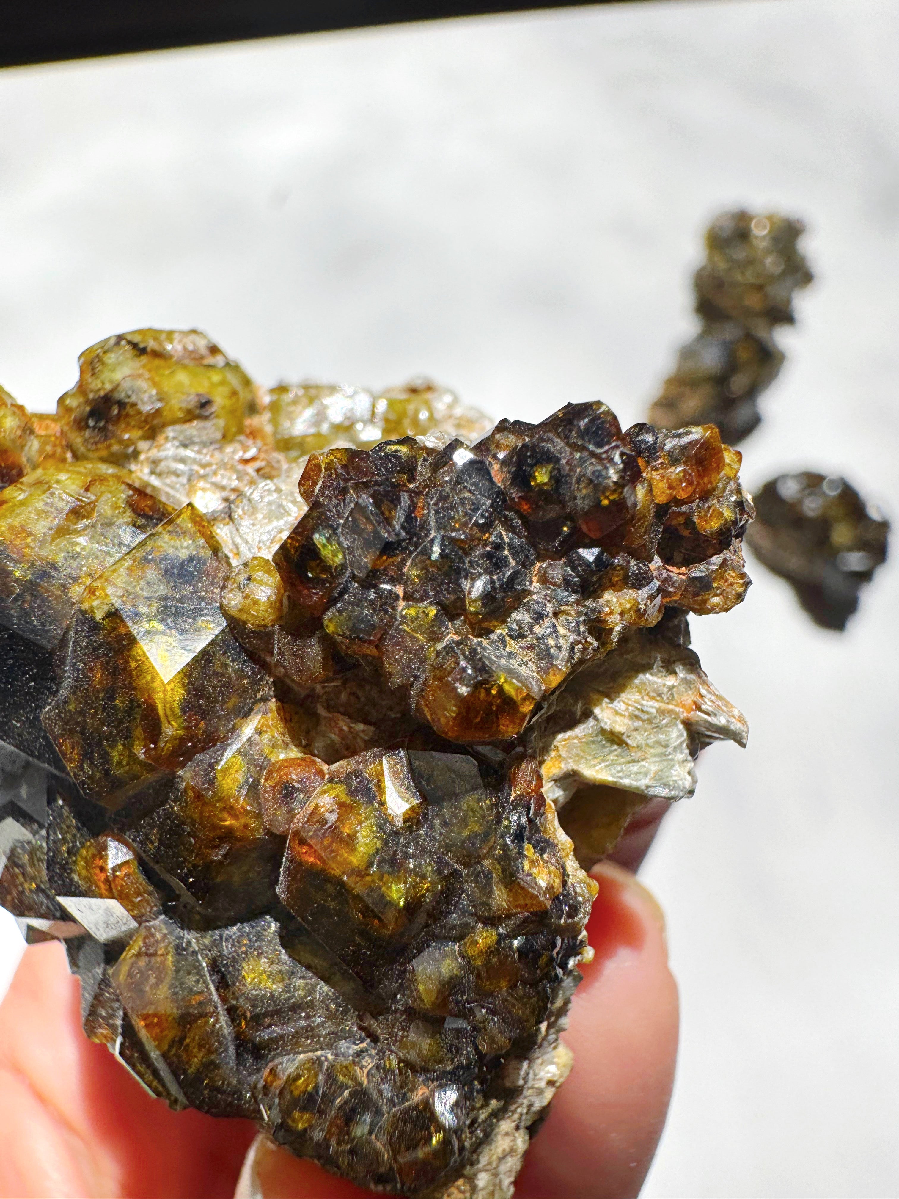 Rare Mali Green Grossular Andradite Garnet w/ Clinochlore AAA Quality Baltic Mermaid