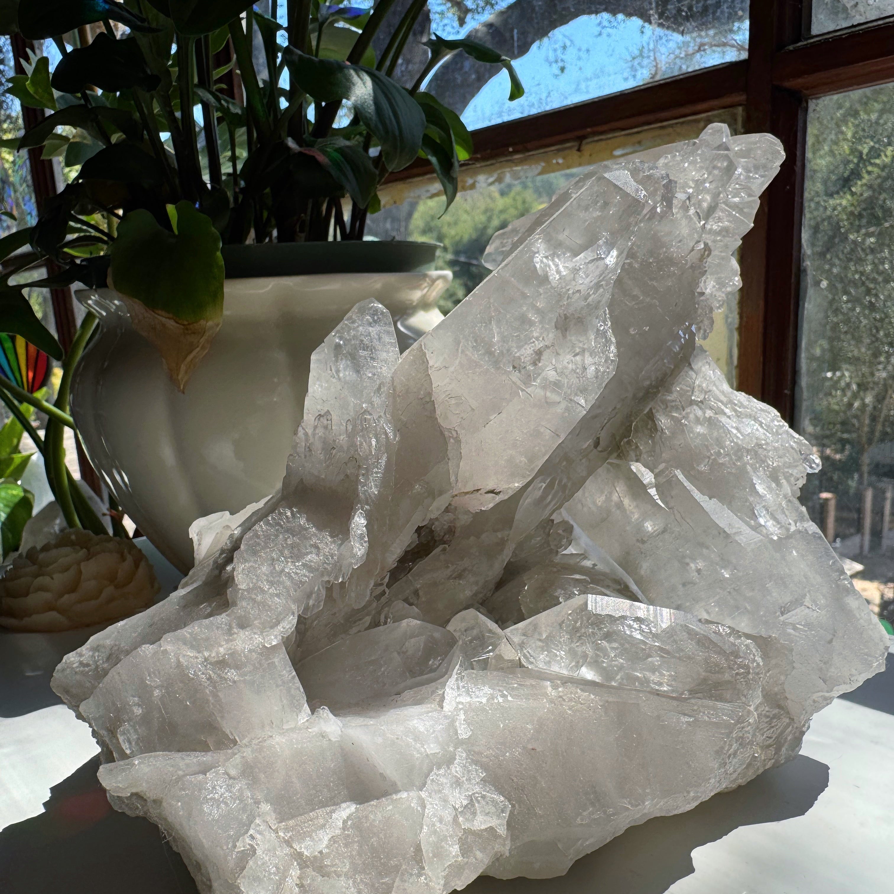 Large Rutilated Lemurian Quartz Cluster from Brazil Baltic Mermaid