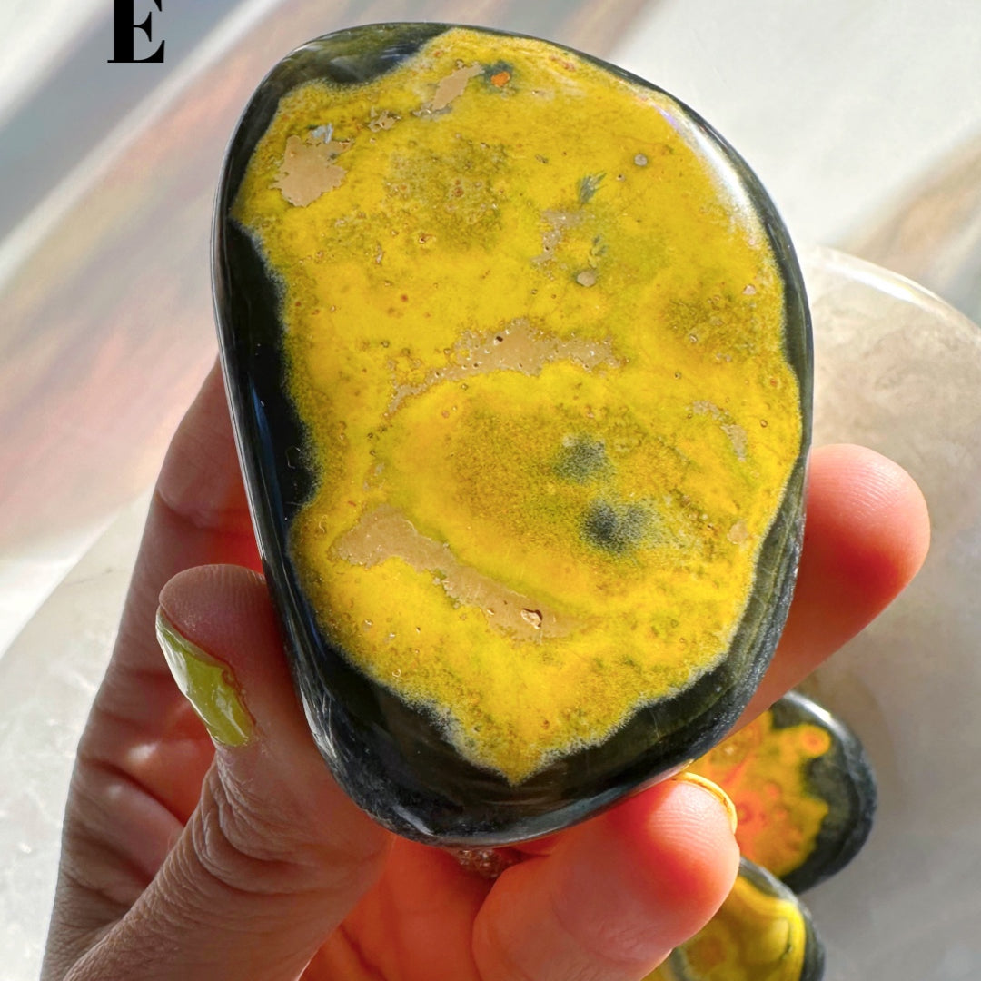 Bumblebee Jasper Palm Stones - Baltic Mermaid