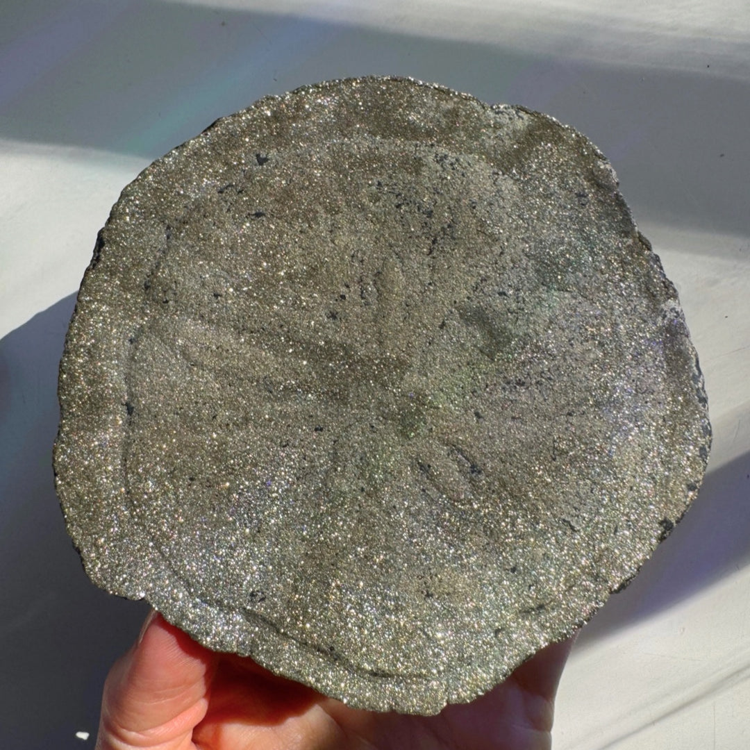 Pyrite Sun - Baltic Mermaid