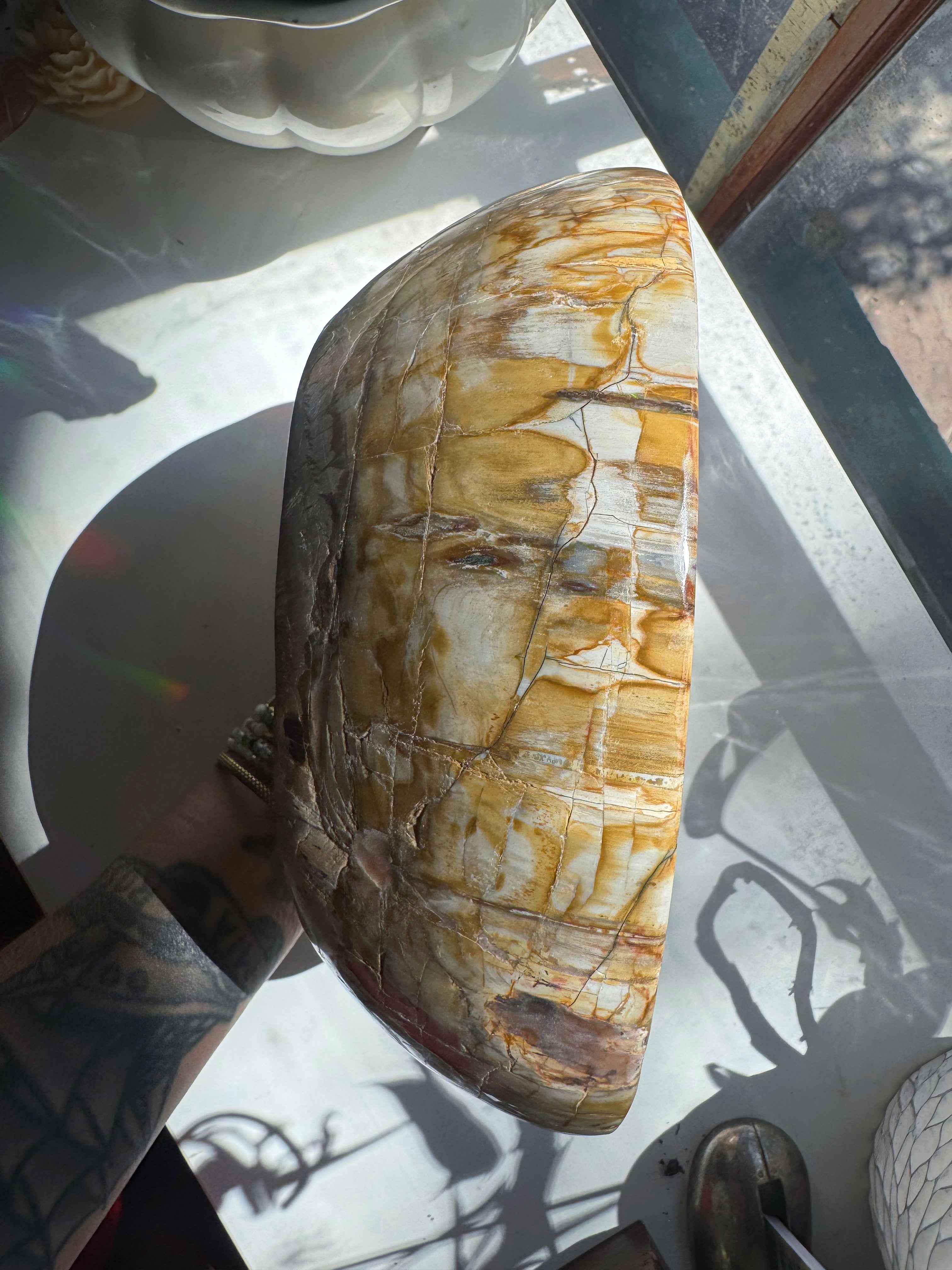 Large Petrified Wood Bowl Baltic Mermaid