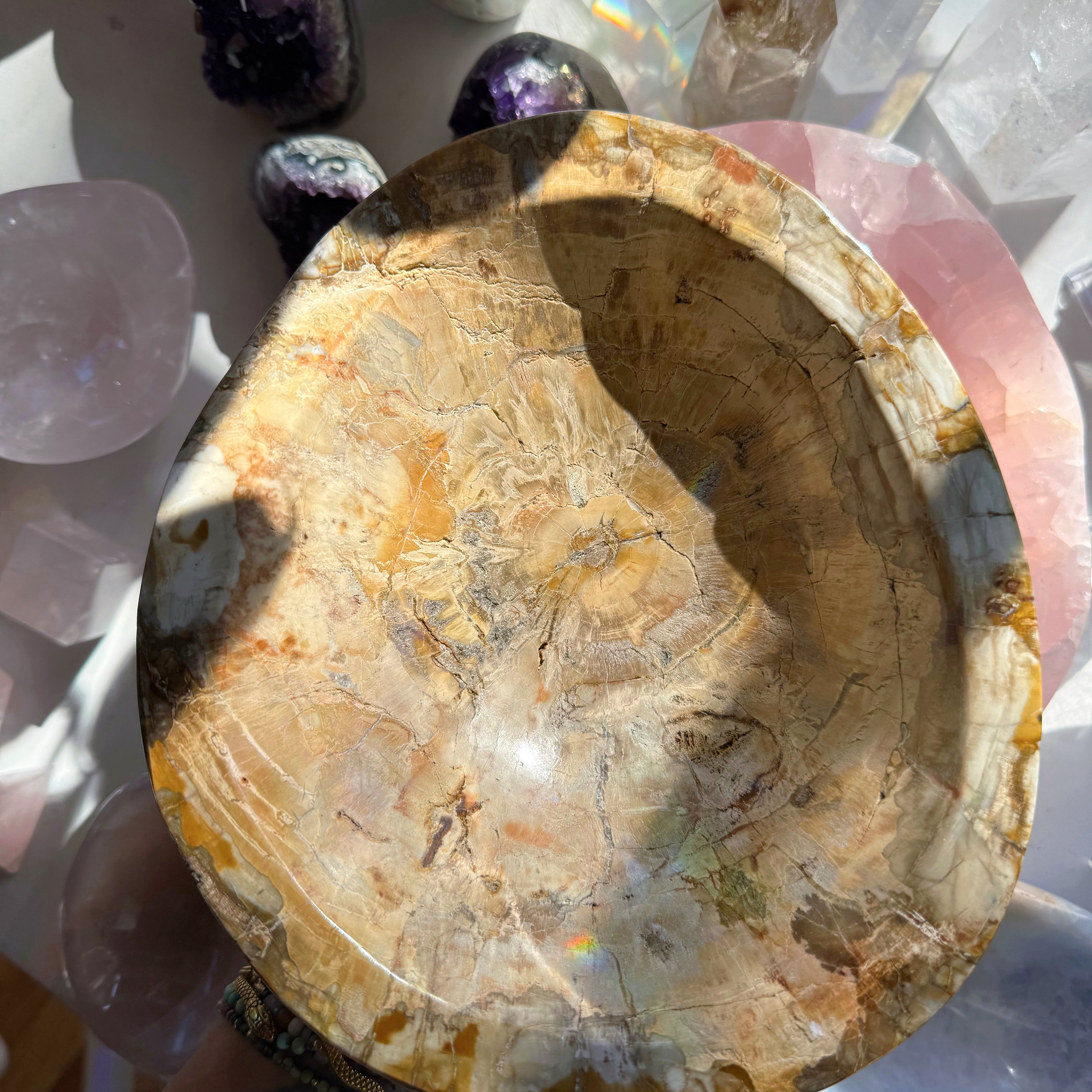 Petrified Wood Bowl Baltic Mermaid