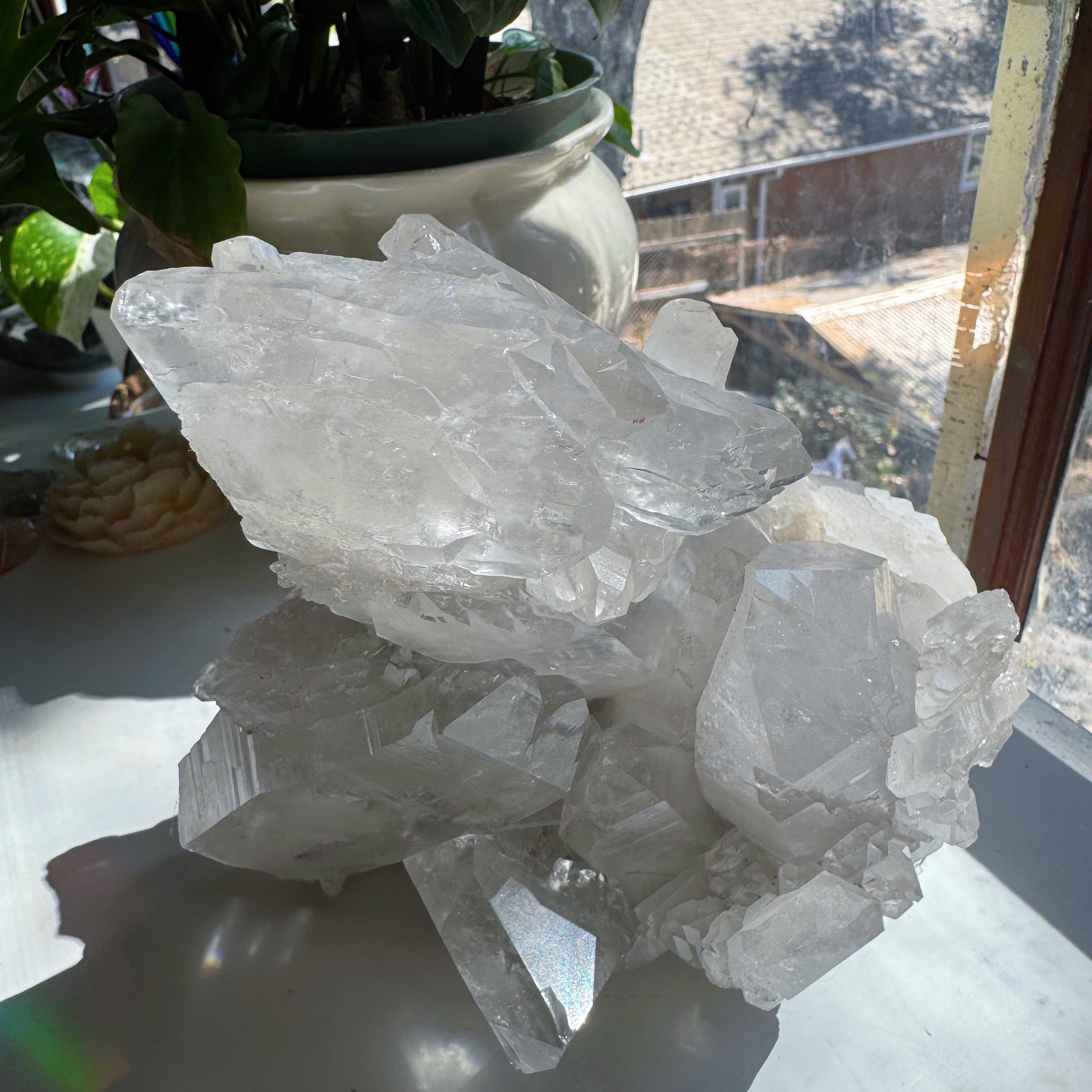 Large Rutilated Lemurian Quartz Cluster from Brazil Baltic Mermaid
