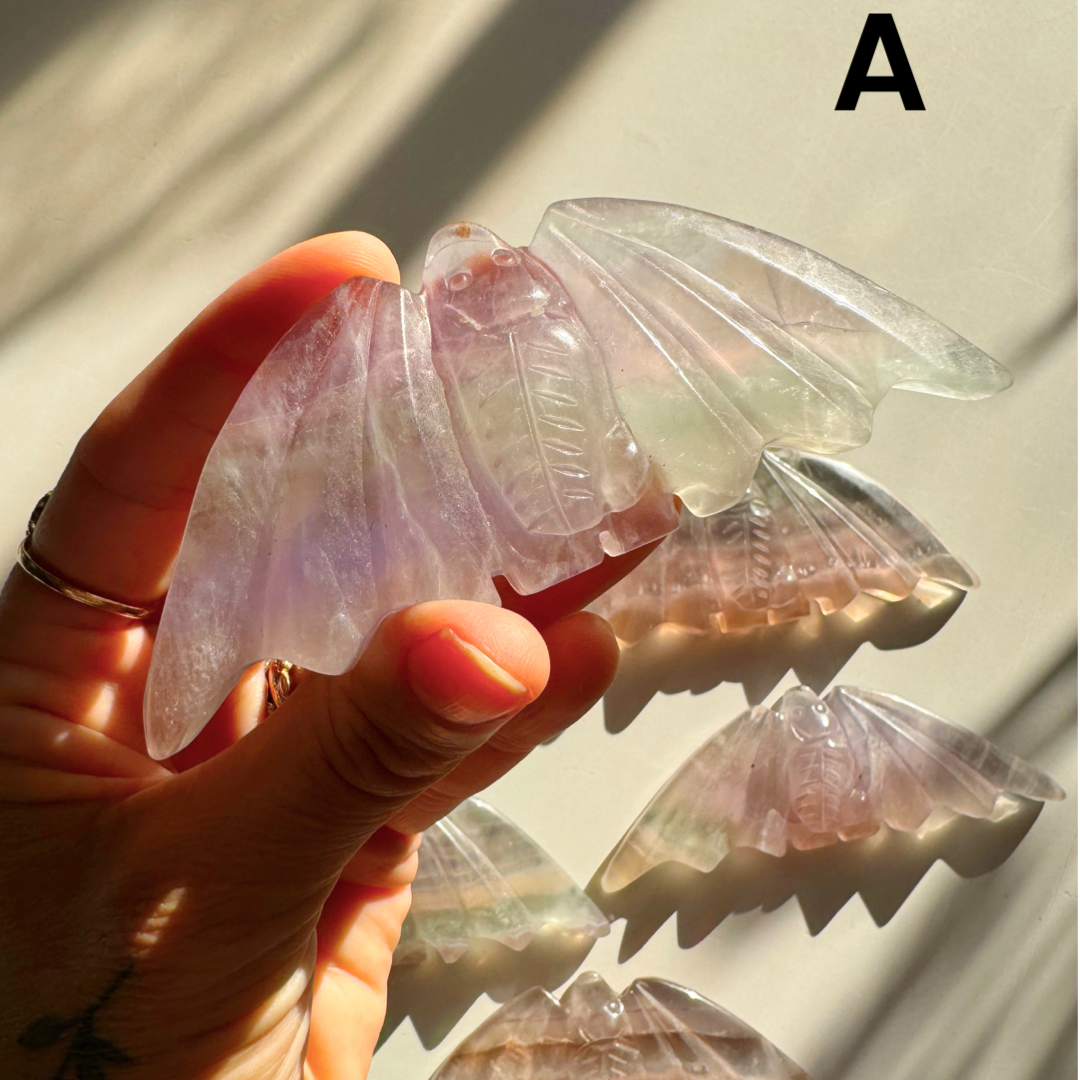 Fluorite Bats - Baltic Mermaid