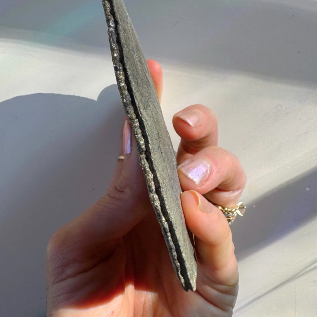 Pyrite Sun - Baltic Mermaid