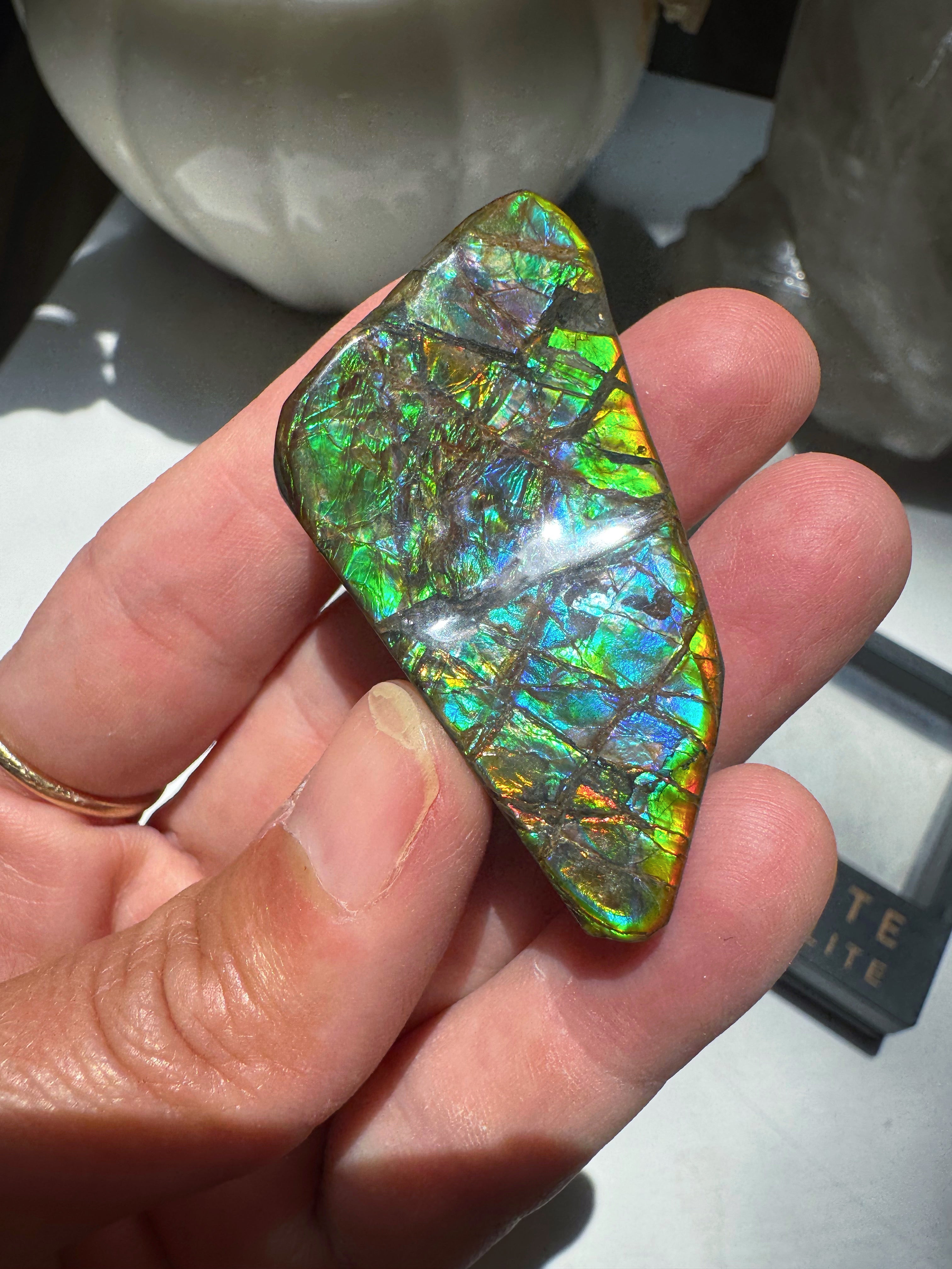 Ammolite Gemstone Hand Specimen Baltic Mermaid