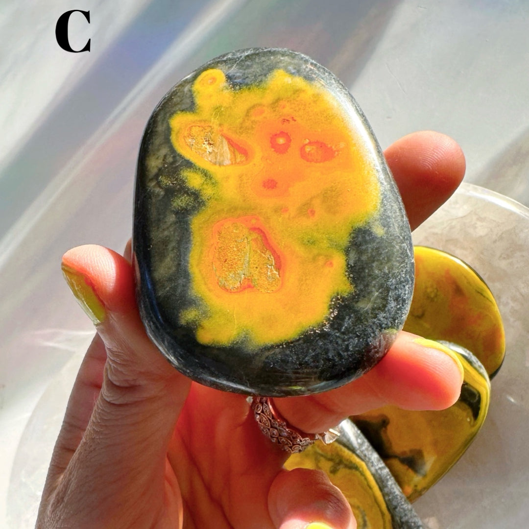 Bumblebee Jasper Palm Stones - Baltic Mermaid