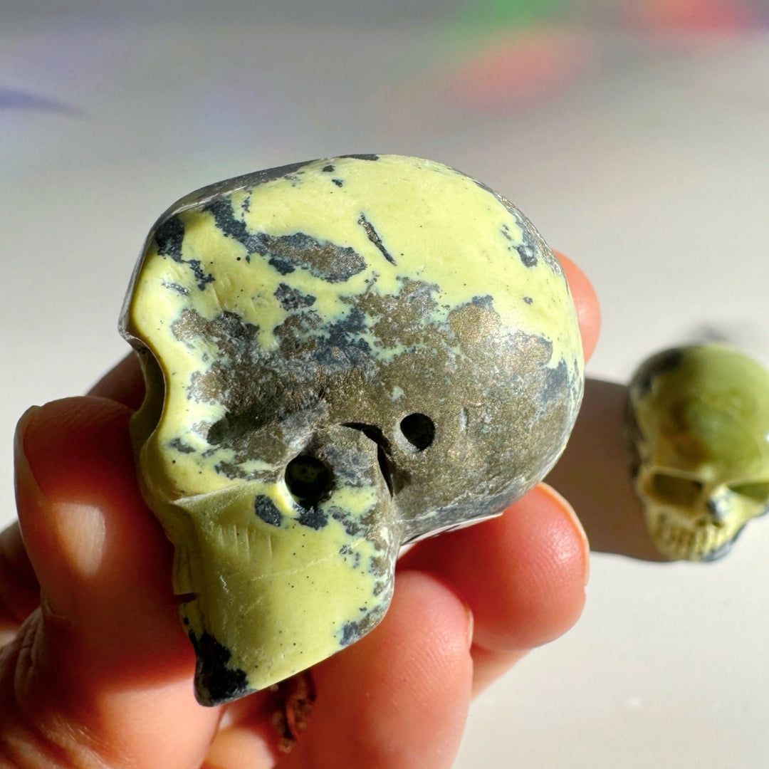 Serpentine Skull - Baltic Mermaid