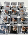 Natural Topaz Thumbnails in a Perky Box - from Zacatecas, Mexico - Baltic Mermaid