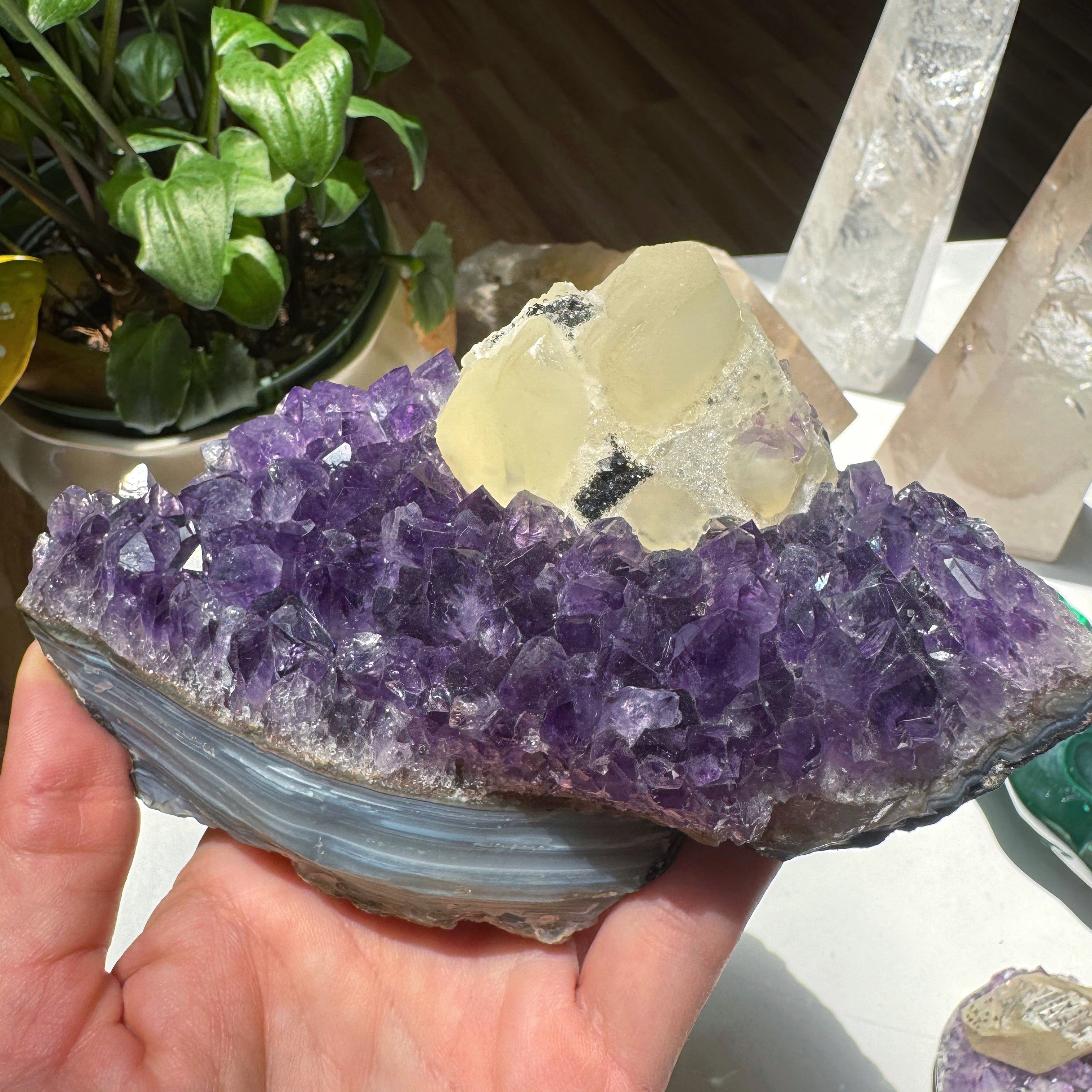 Amethyst Cluster w/ Druzy Calcite from Uruguay Baltic Mermaid