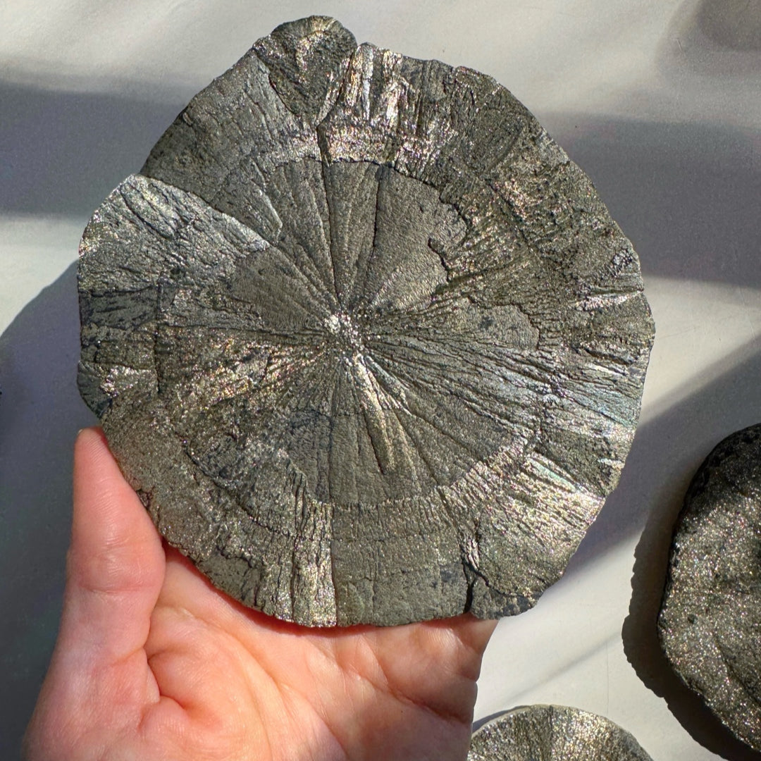 Pyrite Sun - Baltic Mermaid